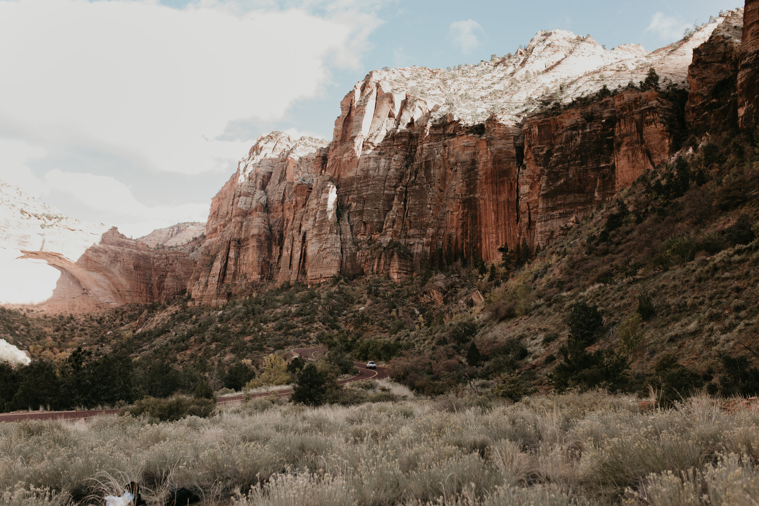 nicole-daacke-photography-zion-national-park-elopement-photographer-canyon-overlook-trail-elope-hiking-adventure-wedding-photos-fall-utah-red-rock-canyon-stgeorge-eloping-photographer-12.jpg