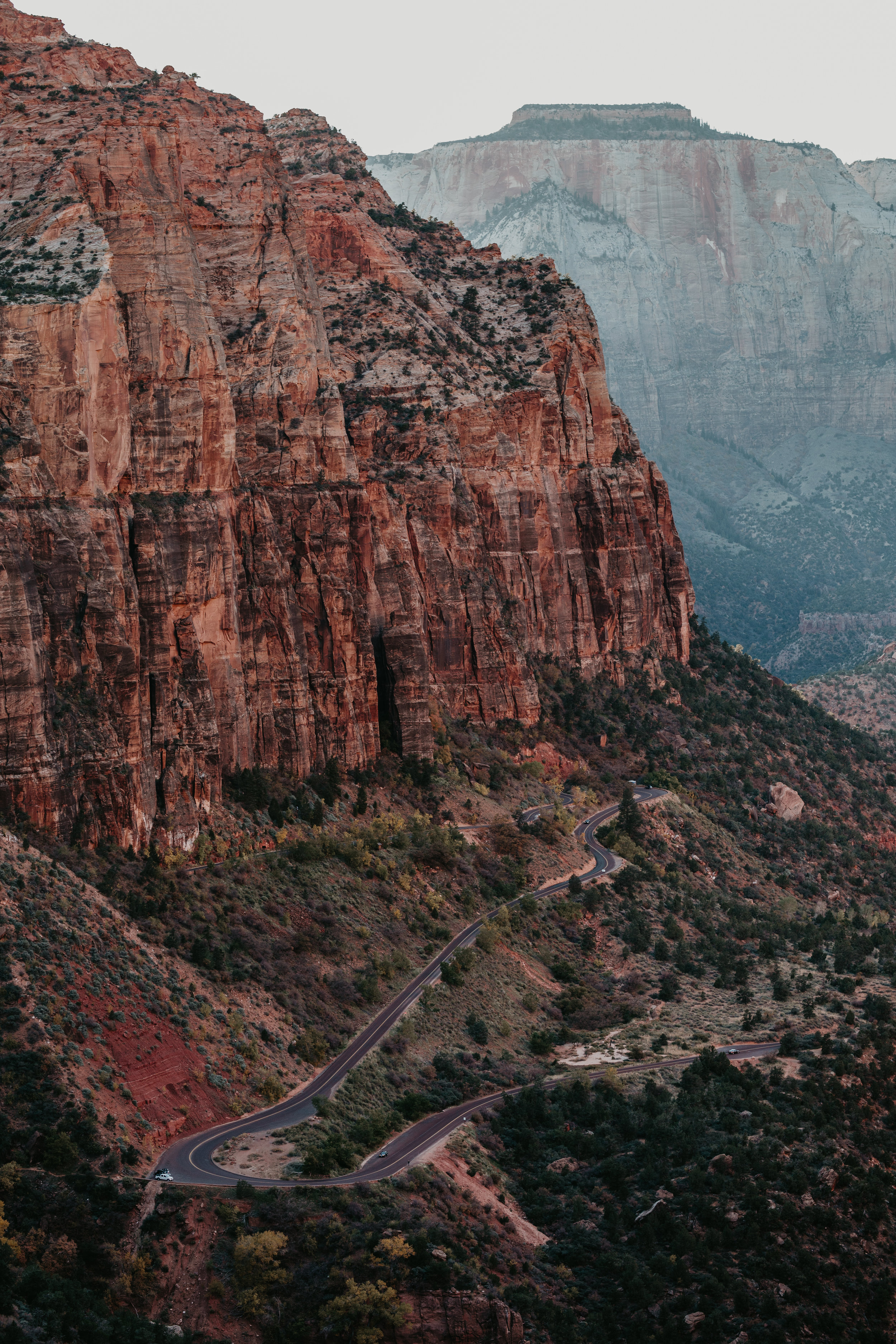 nicole-daacke-photography-zion-national-park-elopement-photographer-canyon-overlook-trail-elope-hiking-adventure-wedding-photos-fall-utah-red-rock-canyon-stgeorge-eloping-photographer-57.jpg