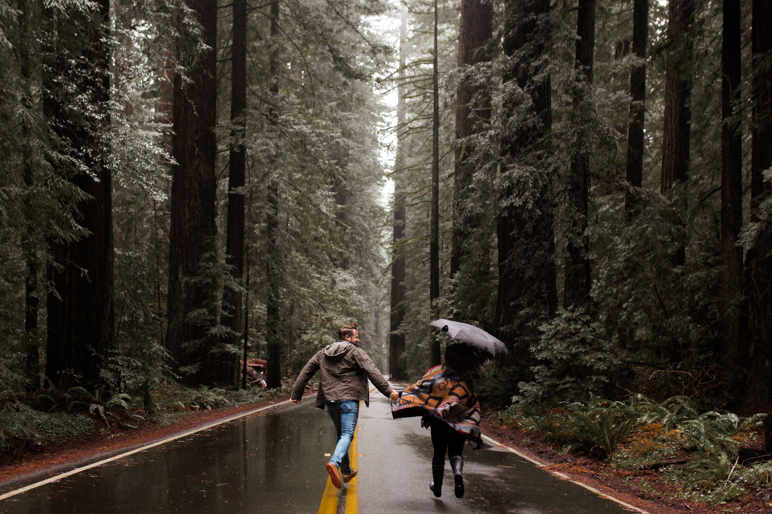 nicole-daacke-photography-redwoods-national-park-forest-rainy-foggy-adventure-engagement-session-humboldt-county-old-growth-redwood-tree-elopement-intimate-wedding-photographer-1.jpg