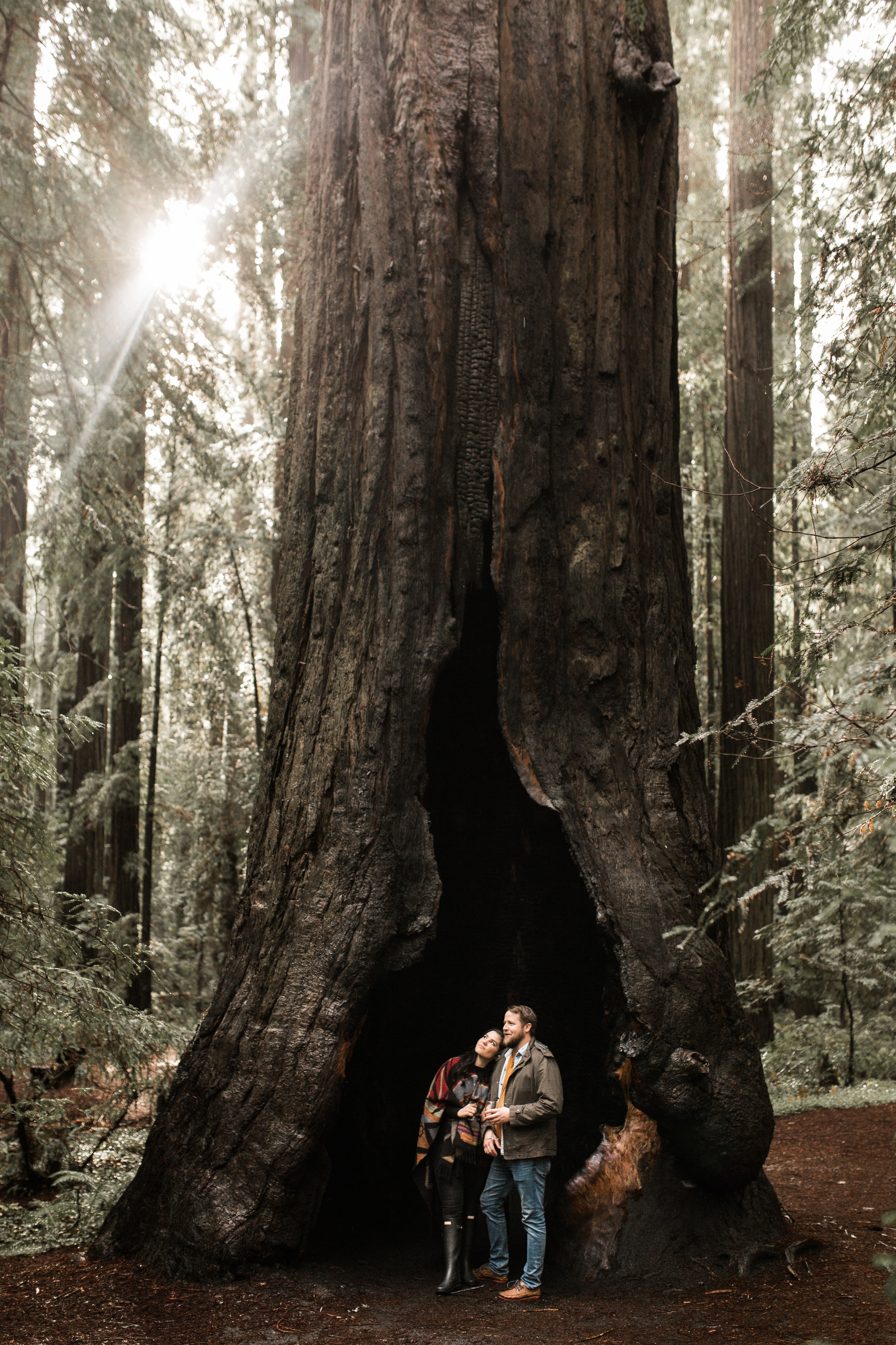 nicole-daacke-photography-redwoods-national-park-forest-rainy-foggy-adventure-engagement-session-humboldt-county-old-growth-redwood-tree-elopement-intimate-wedding-photographer-11.jpg