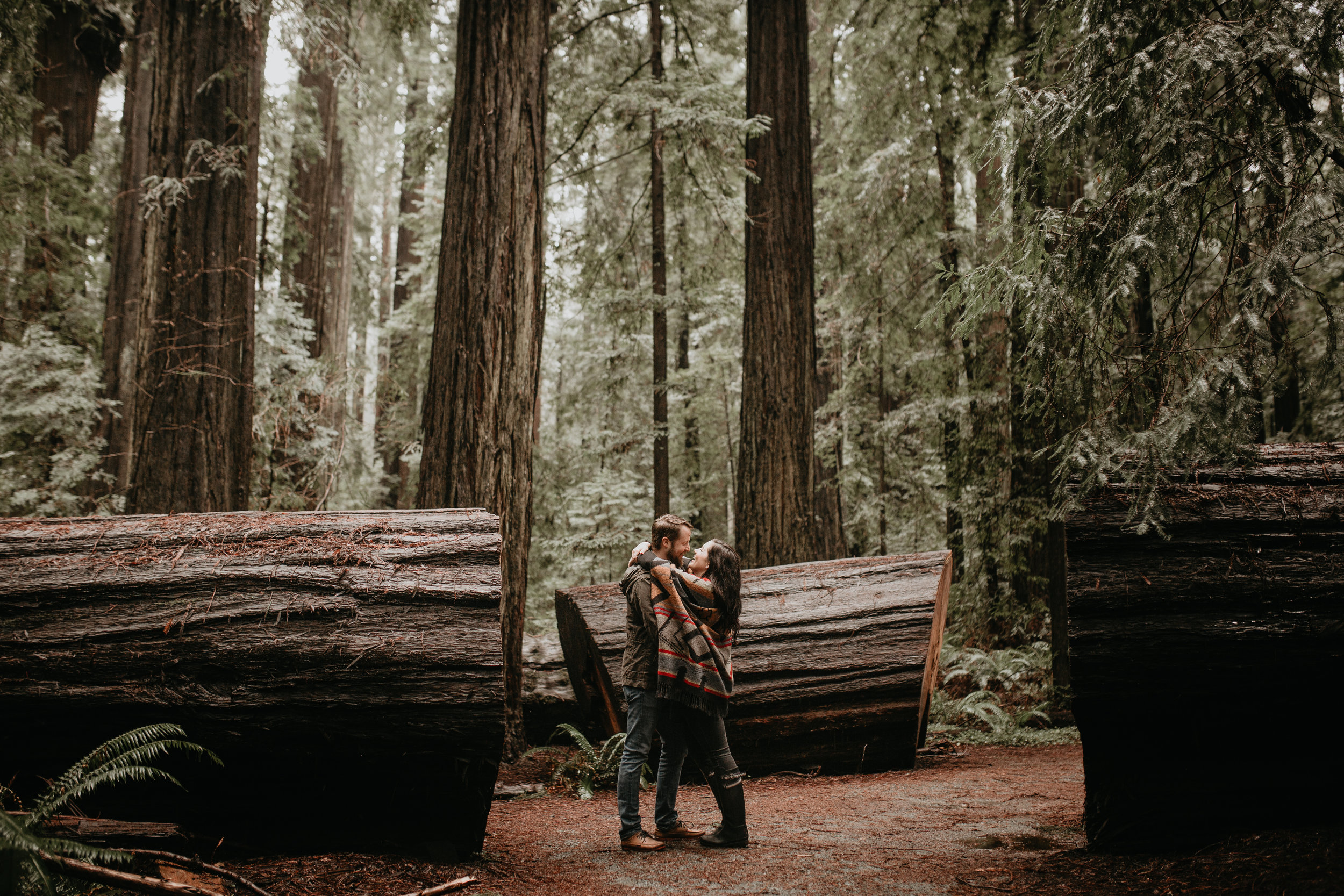 nicole-daacke-photography-redwoods-national-park-forest-rainy-foggy-adventure-engagement-session-humboldt-county-old-growth-redwood-tree-elopement-intimate-wedding-photographer-17.jpg