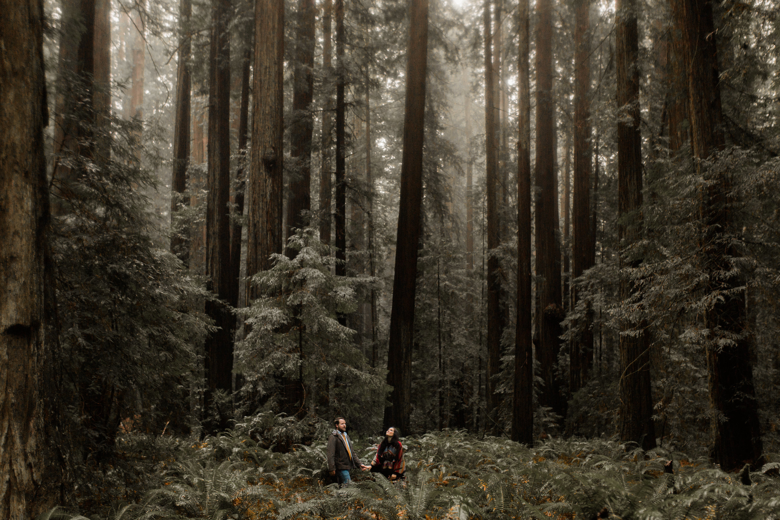 nicole-daacke-photography-redwoods-national-park-forest-rainy-foggy-adventure-engagement-session-humboldt-county-old-growth-redwood-tree-elopement-intimate-wedding-photographer-24.jpg