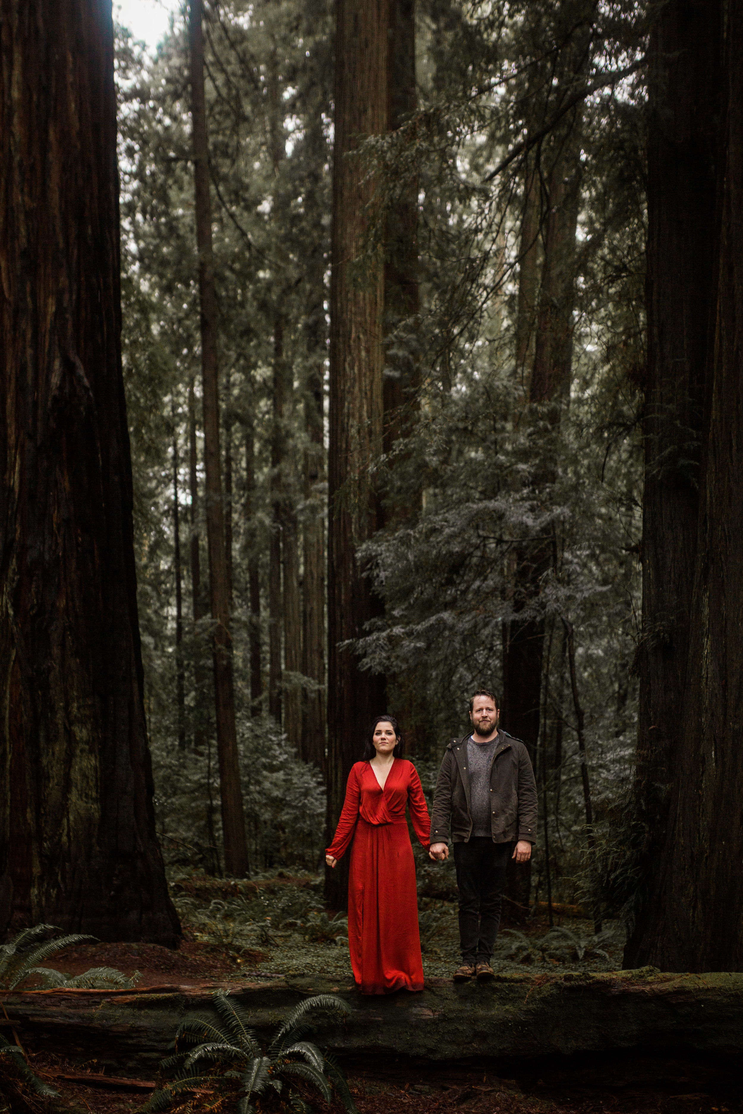 nicole-daacke-photography-redwoods-national-park-forest-rainy-foggy-adventure-engagement-session-humboldt-county-old-growth-redwood-tree-elopement-intimate-wedding-photographer-53.jpg
