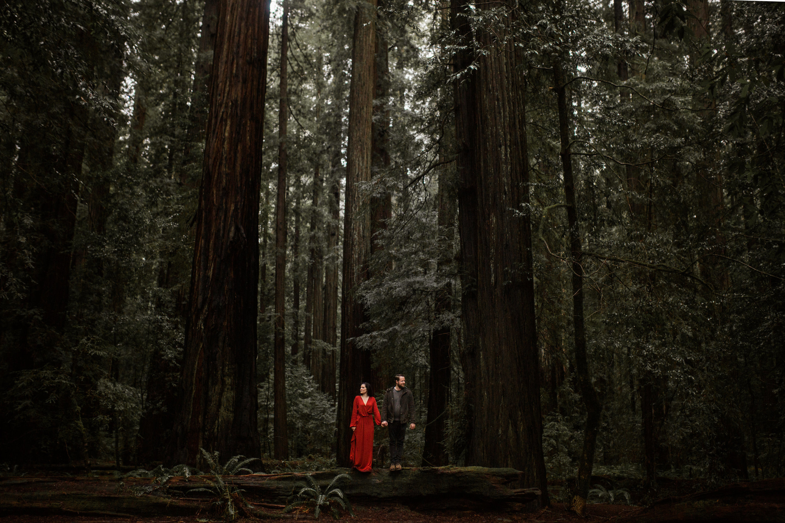 nicole-daacke-photography-redwoods-national-park-forest-rainy-foggy-adventure-engagement-session-humboldt-county-old-growth-redwood-tree-elopement-intimate-wedding-photographer-55.jpg