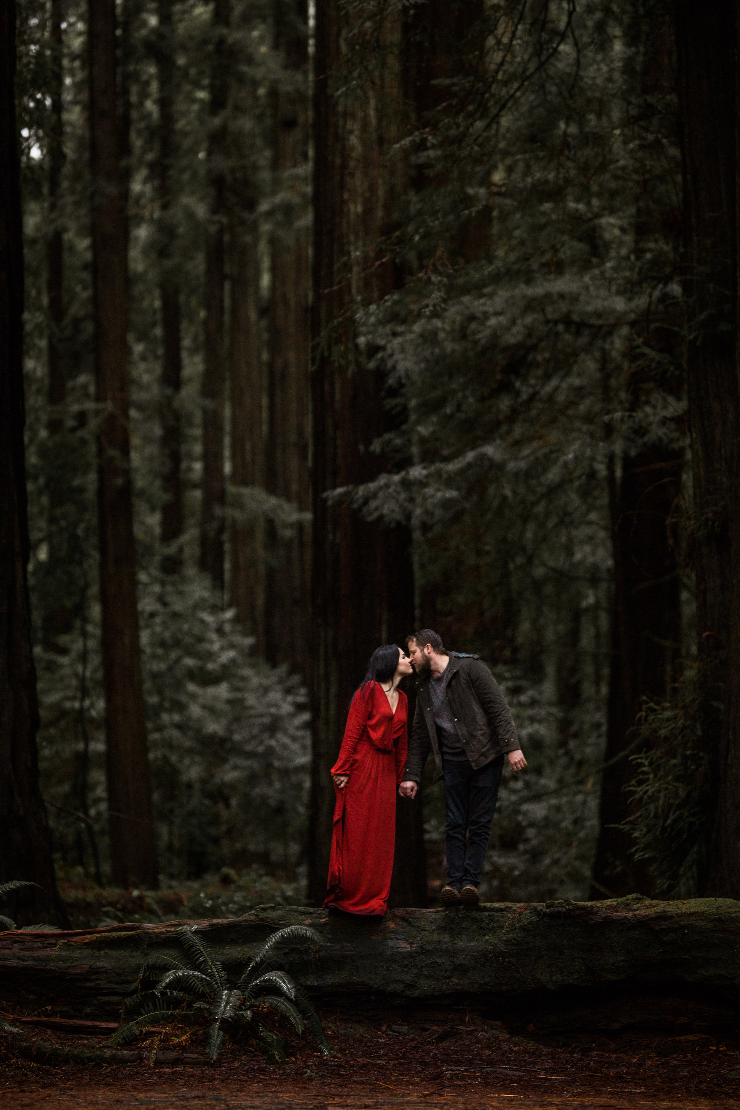nicole-daacke-photography-redwoods-national-park-forest-rainy-foggy-adventure-engagement-session-humboldt-county-old-growth-redwood-tree-elopement-intimate-wedding-photographer-56.jpg