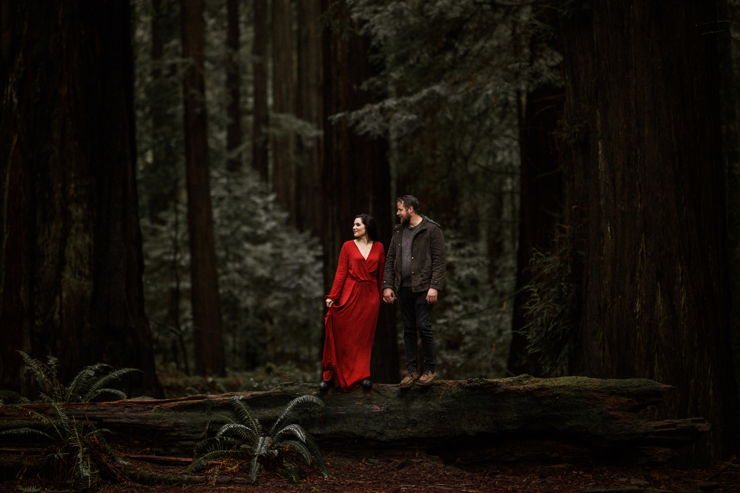 nicole-daacke-photography-redwoods-national-park-forest-rainy-foggy-adventure-engagement-session-humboldt-county-old-growth-redwood-tree-elopement-intimate-wedding-photographer-57.jpg