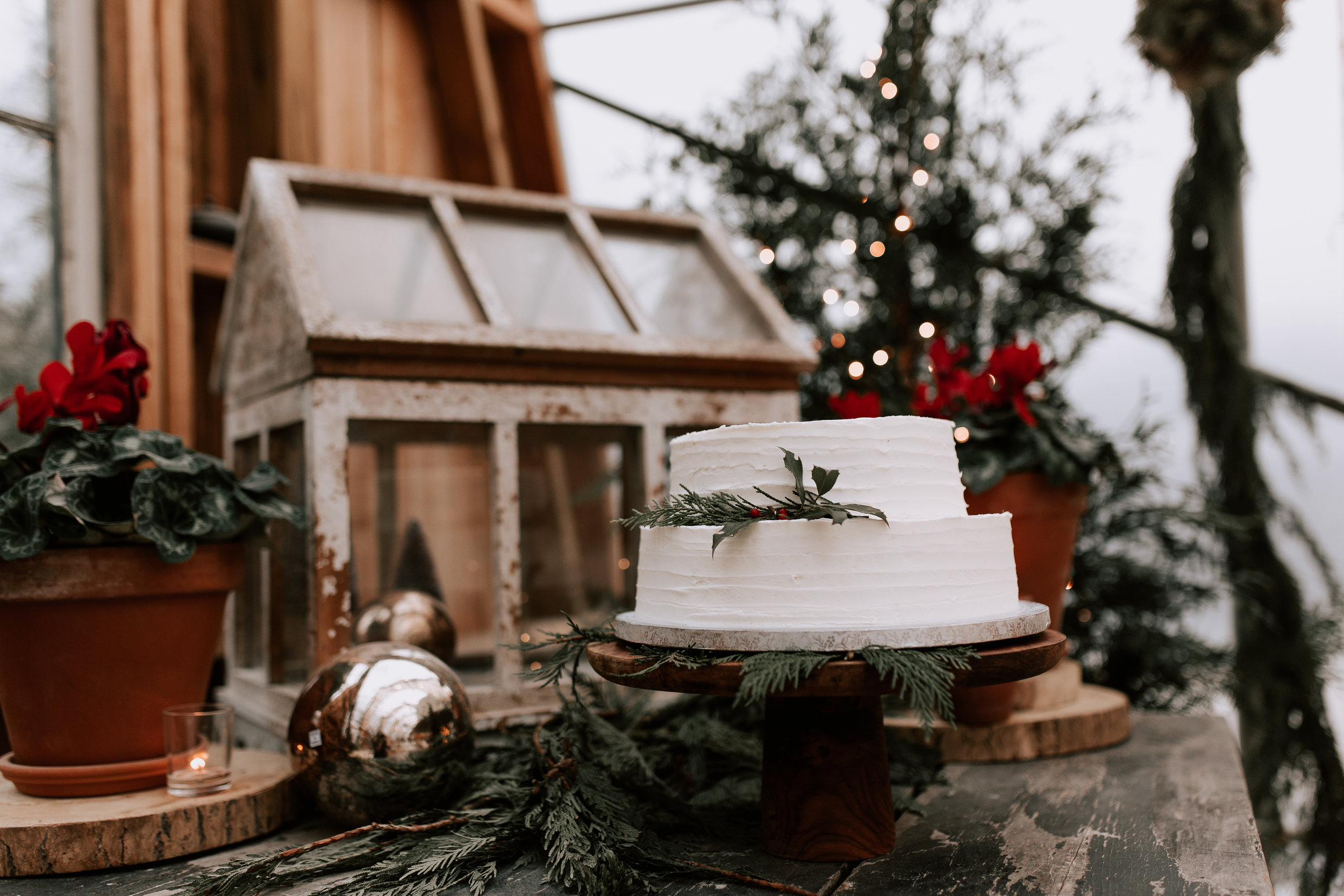 nicole-daacke-photography-winter-wedding-in-cape-may-new-jersey-beach-plum-farm-nj-snowy-glam-winter-elopement-intimate-jersey-shore-seaside-wedding-photographer-59.jpg