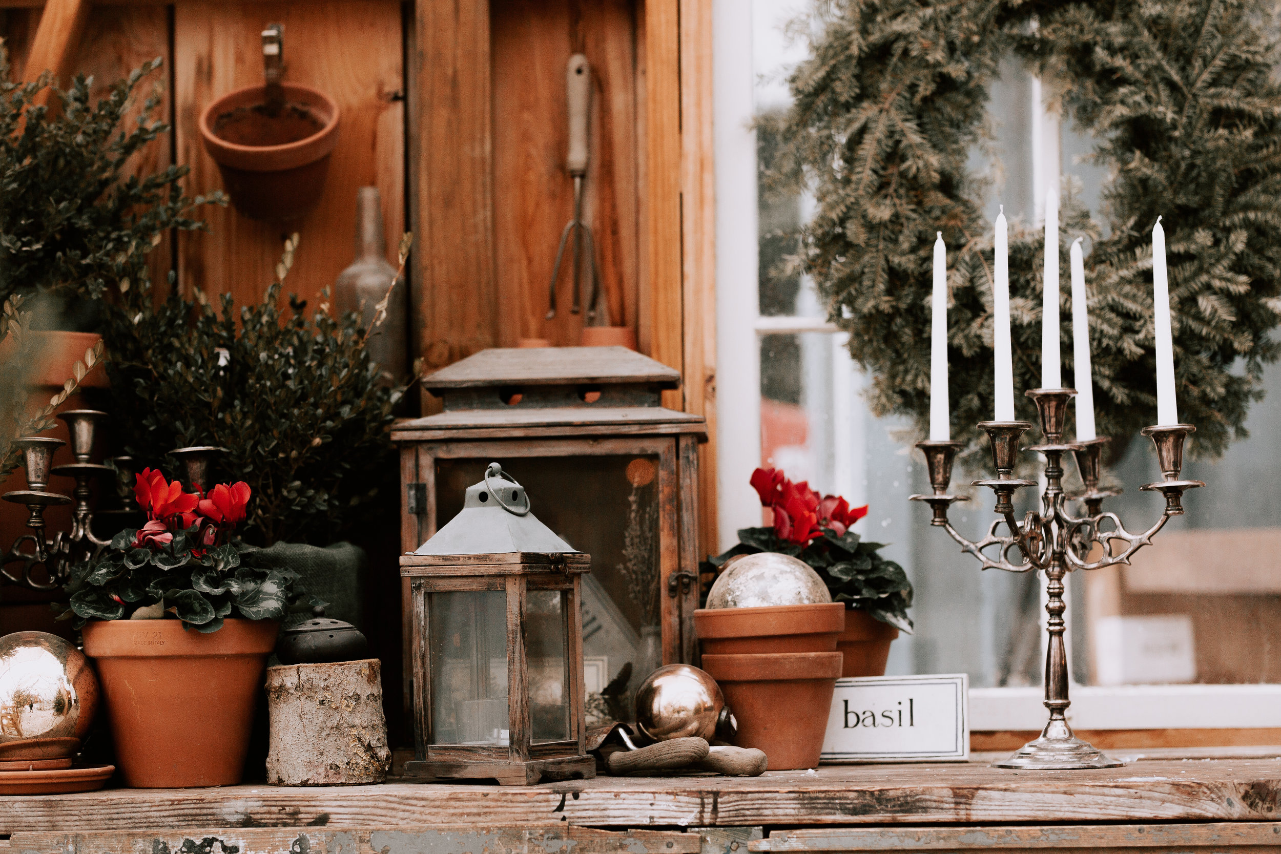 nicole-daacke-photography-winter-wedding-in-cape-may-new-jersey-beach-plum-farm-nj-snowy-glam-winter-elopement-intimate-jersey-shore-seaside-wedding-photographer-63.jpg