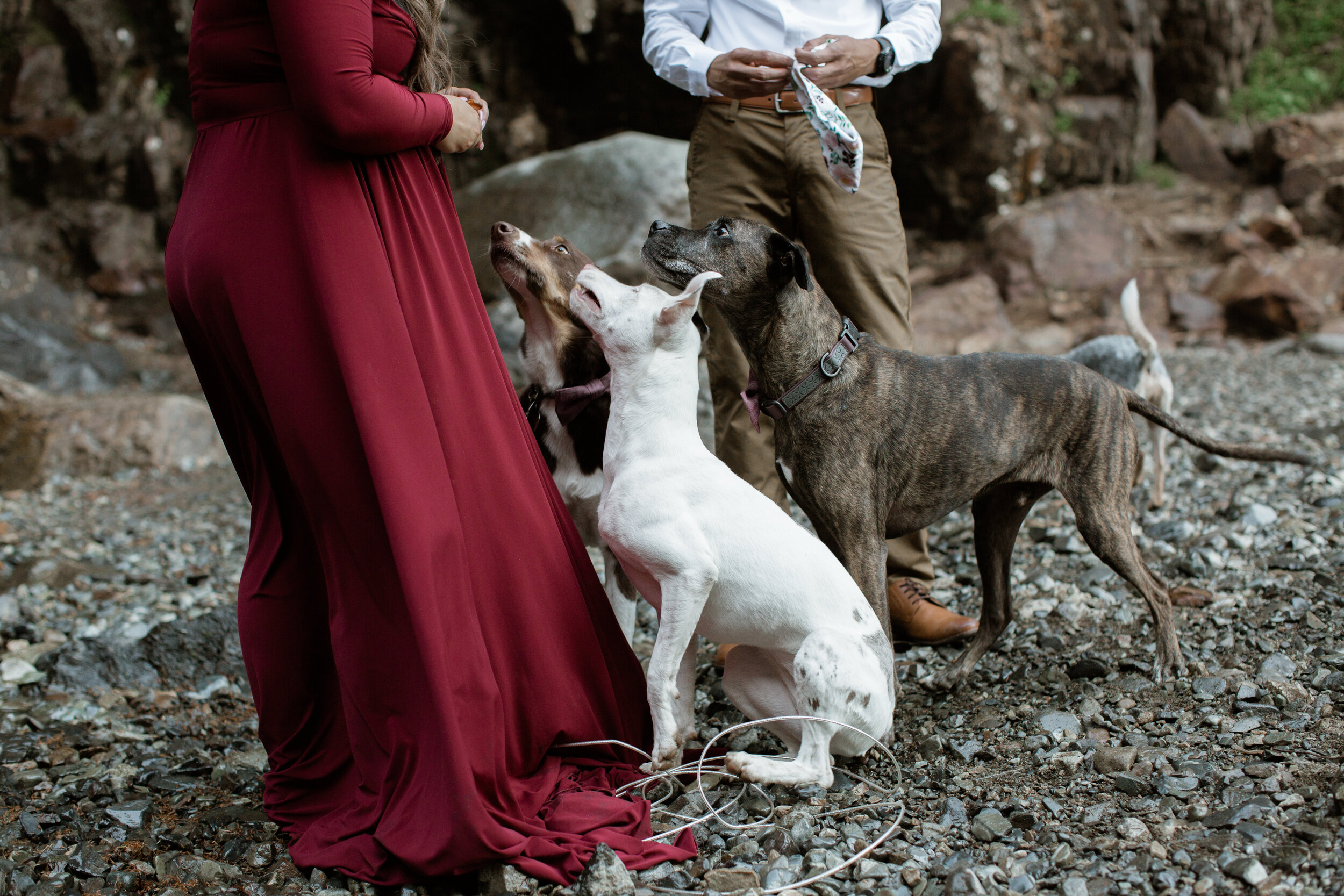 nicole-daacke-photography-gold-creek-pond-franklin-falls-waterfall-summer-adventure-engagement-session-elopement-photographer-washington-summer-engagement-photos-snoqualmie-pass-117.jpg