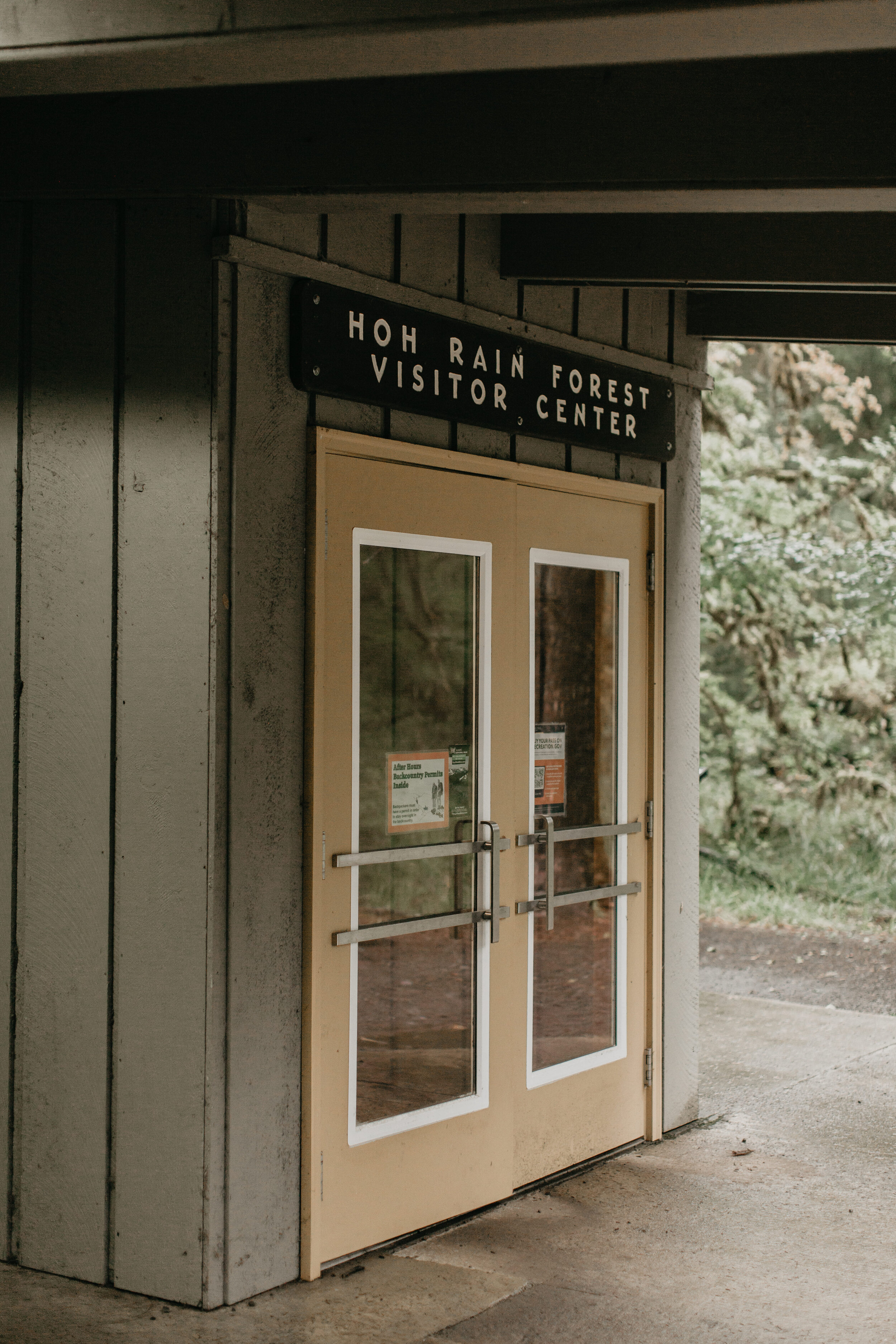 Nicole-Daacke-Photography-Olympic-national-park-elopement-photography-intimiate-elopement-in-olympic-peninsula-washington-state-rainy-day-ruby-beach-hoh-rainforest-elopement-inspiration-rainforest-pnw-elopement-photography-103.jpg