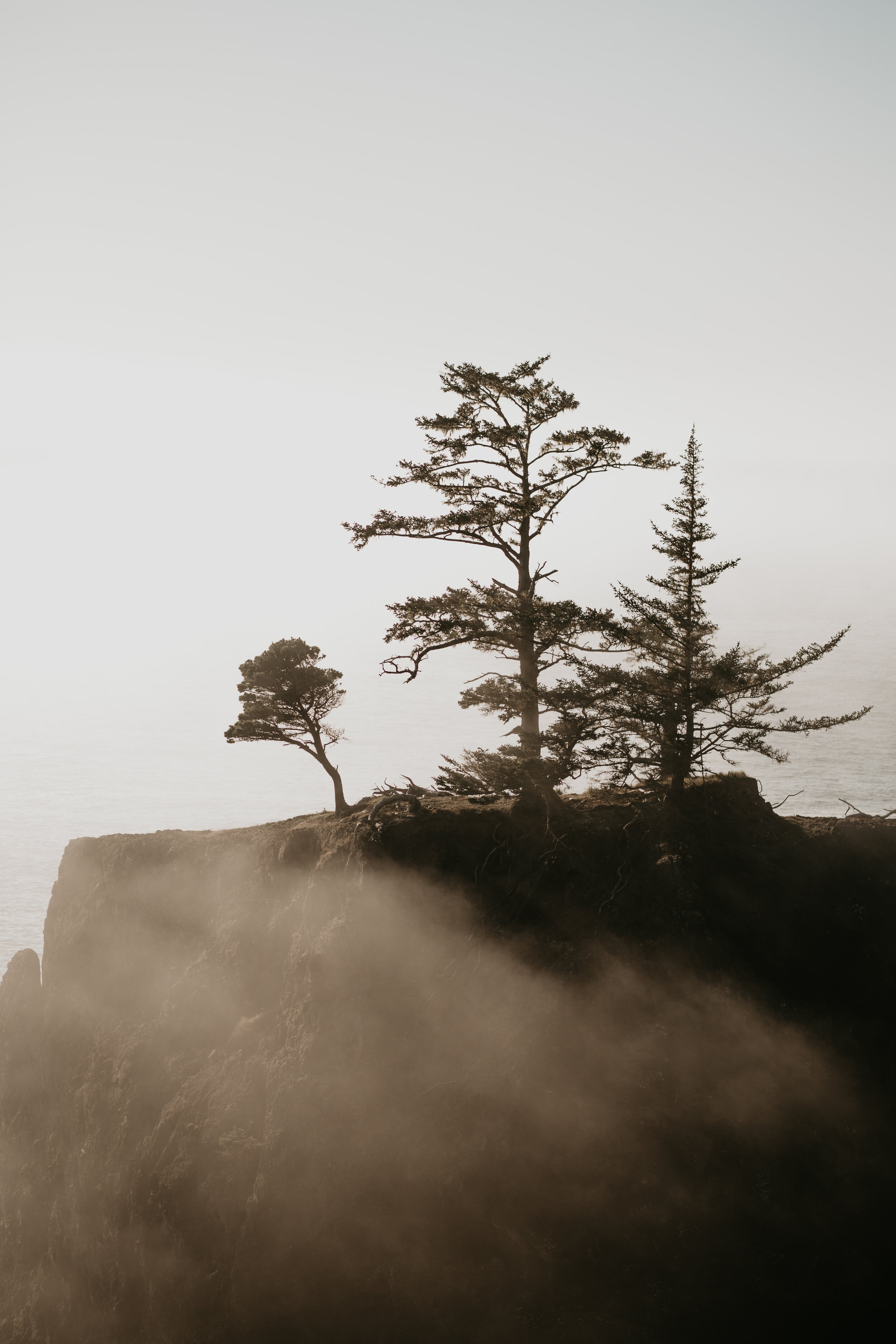 oregon-coast-elopement-at-samuel-boardman-state-park-scenic-road-southern-oregon-coast-elopement-photographer-Nicole-Daacke-Photography-155.jpg