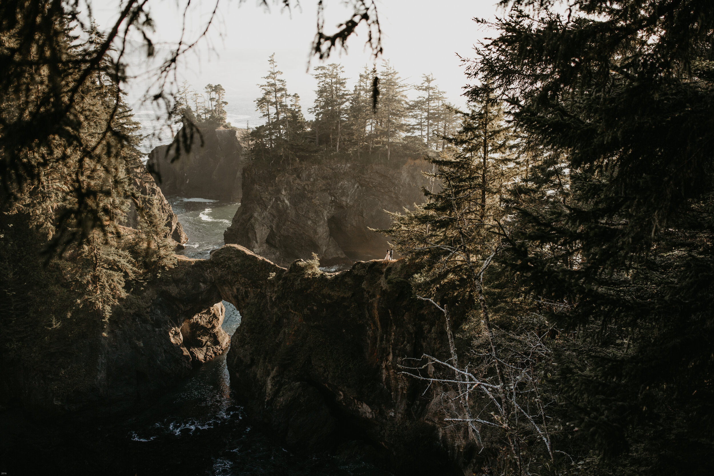 oregon-coast-elopement-at-samuel-boardman-state-park-scenic-road-southern-oregon-coast-elopement-photographer-Nicole-Daacke-Photography-164.jpg