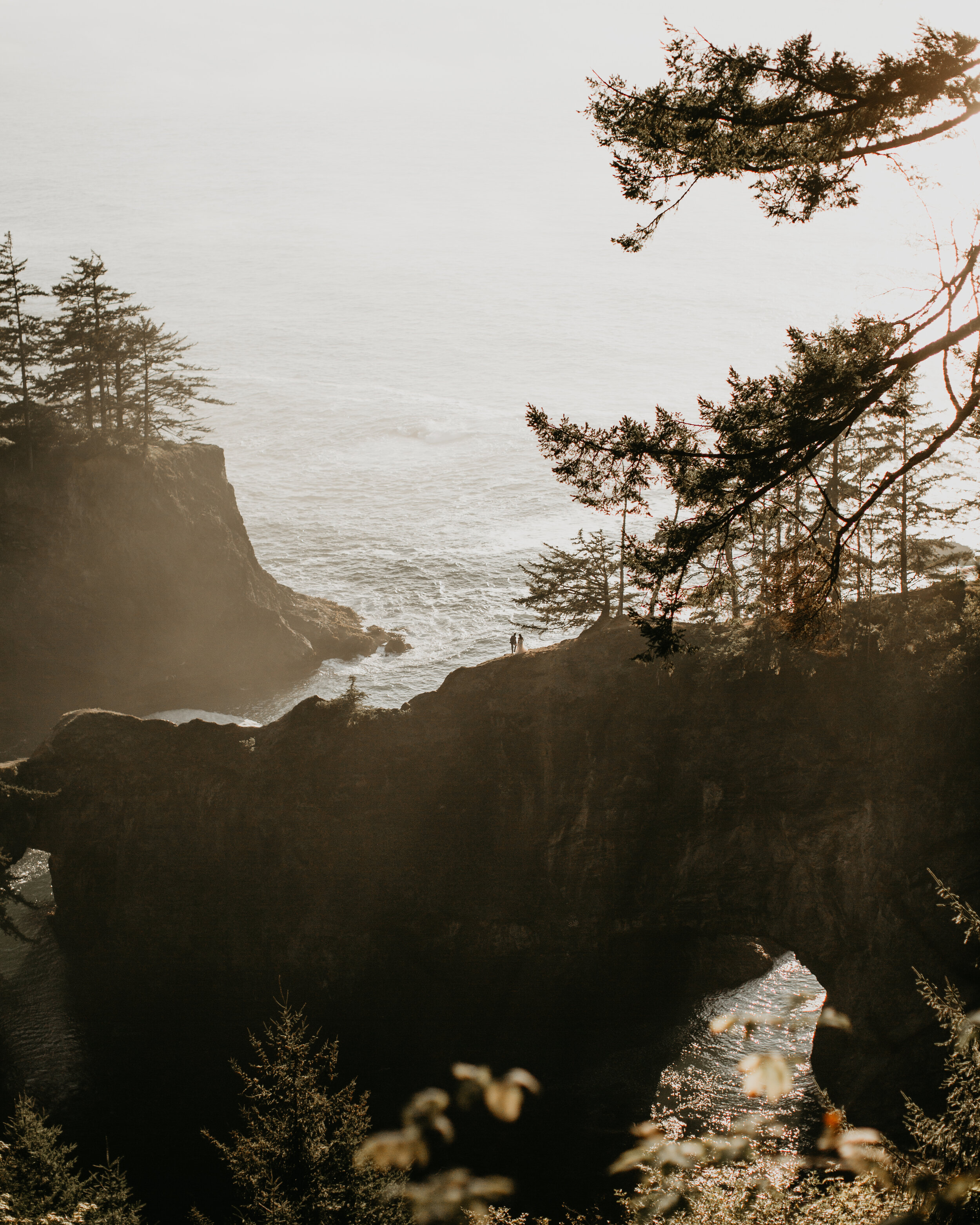 oregon-coast-elopement-at-samuel-boardman-state-park-scenic-road-southern-oregon-coast-elopement-photographer-Nicole-Daacke-Photography-167.jpg