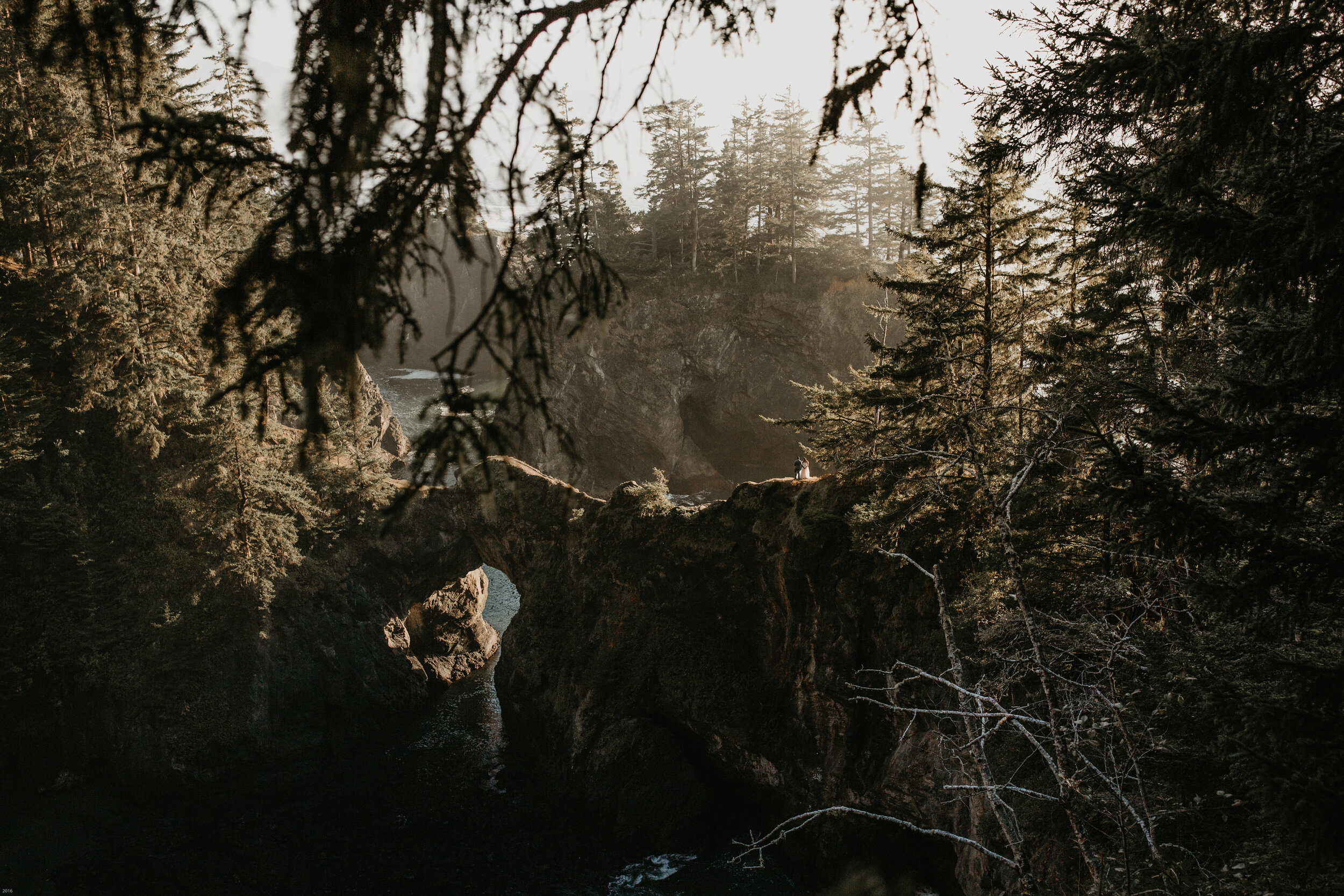 oregon-coast-elopement-at-samuel-boardman-state-park-scenic-road-southern-oregon-coast-elopement-photographer-Nicole-Daacke-Photography-166.jpg