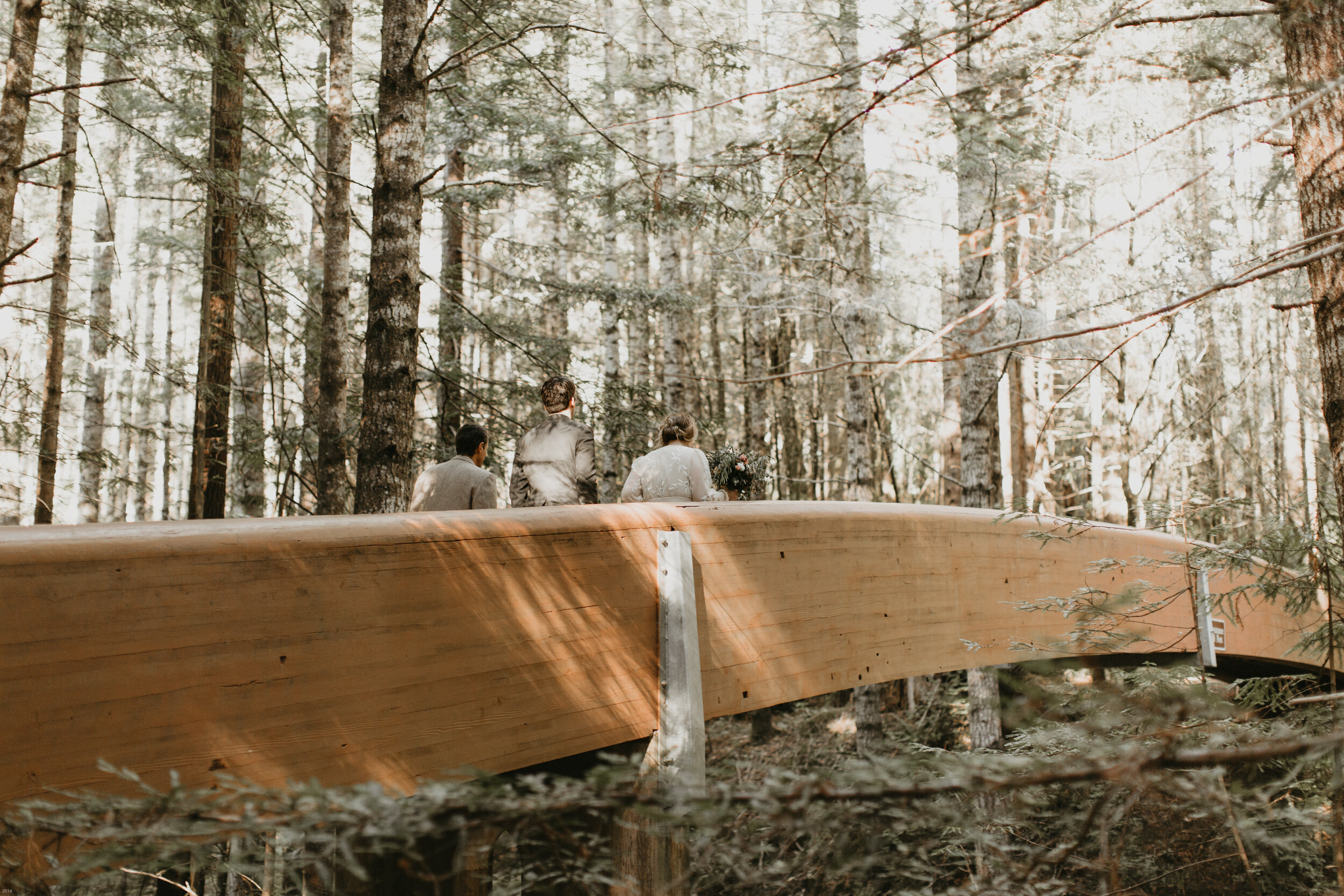 nicole-daacke-photography-redwood-forest-elopement-in-northern-california-patricks-point-coast-adventure-elopement-photography-redwoods-elopement-photographer-129.jpg