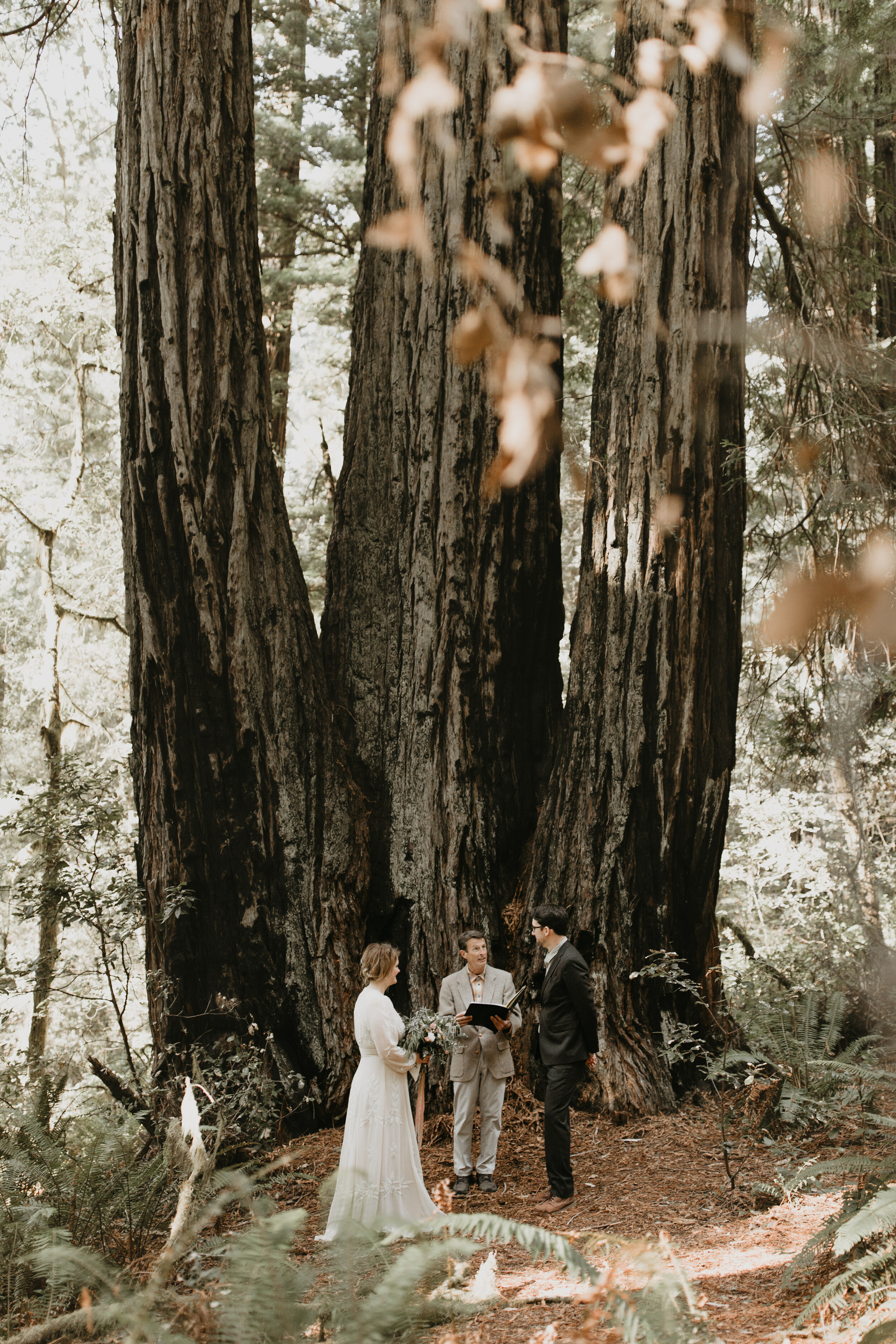 nicole-daacke-photography-redwood-forest-elopement-in-northern-california-patricks-point-coast-adventure-elopement-photography-redwoods-elopement-photographer-134.jpg