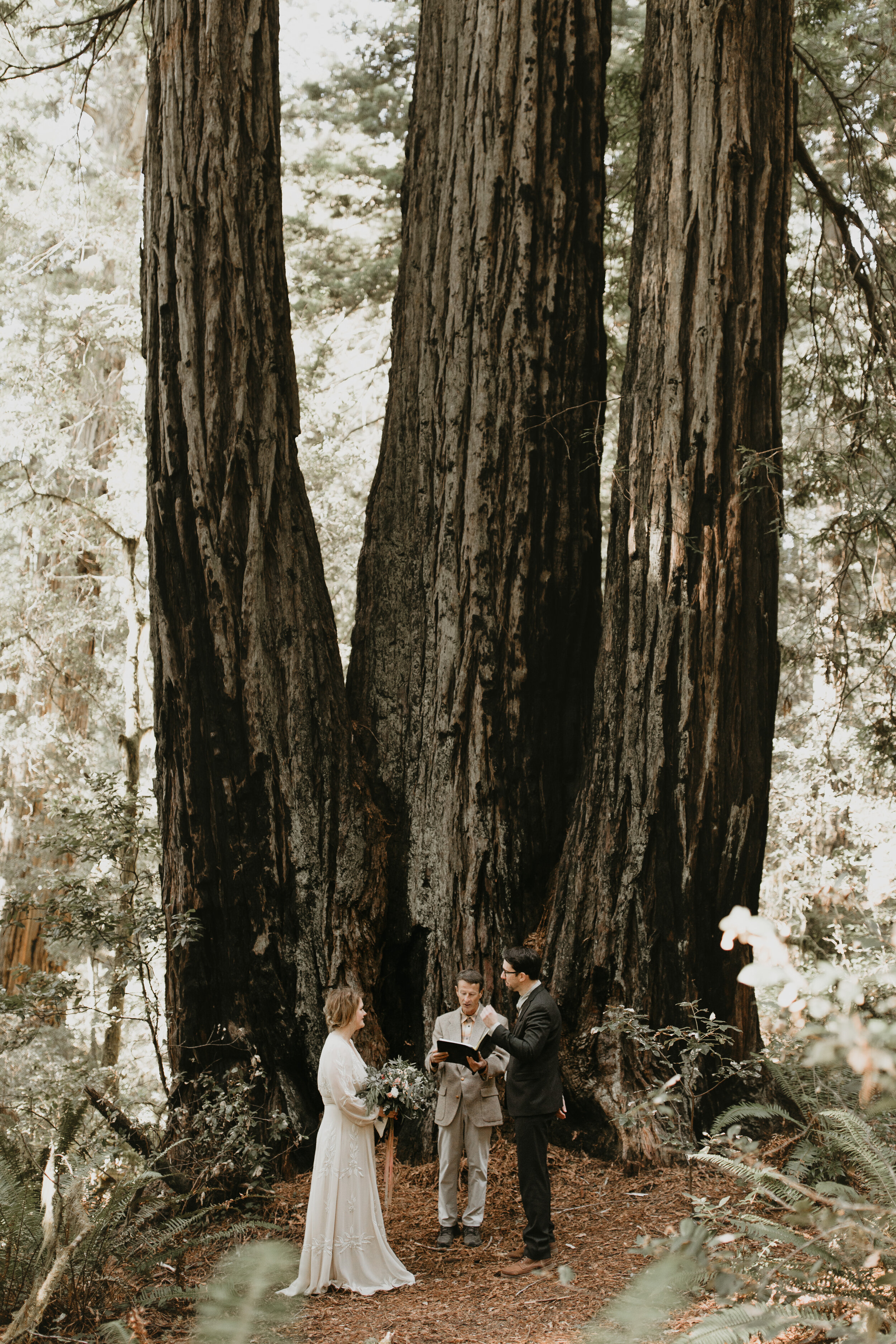 nicole-daacke-photography-redwood-forest-elopement-in-northern-california-patricks-point-coast-adventure-elopement-photography-redwoods-elopement-photographer-136.jpg