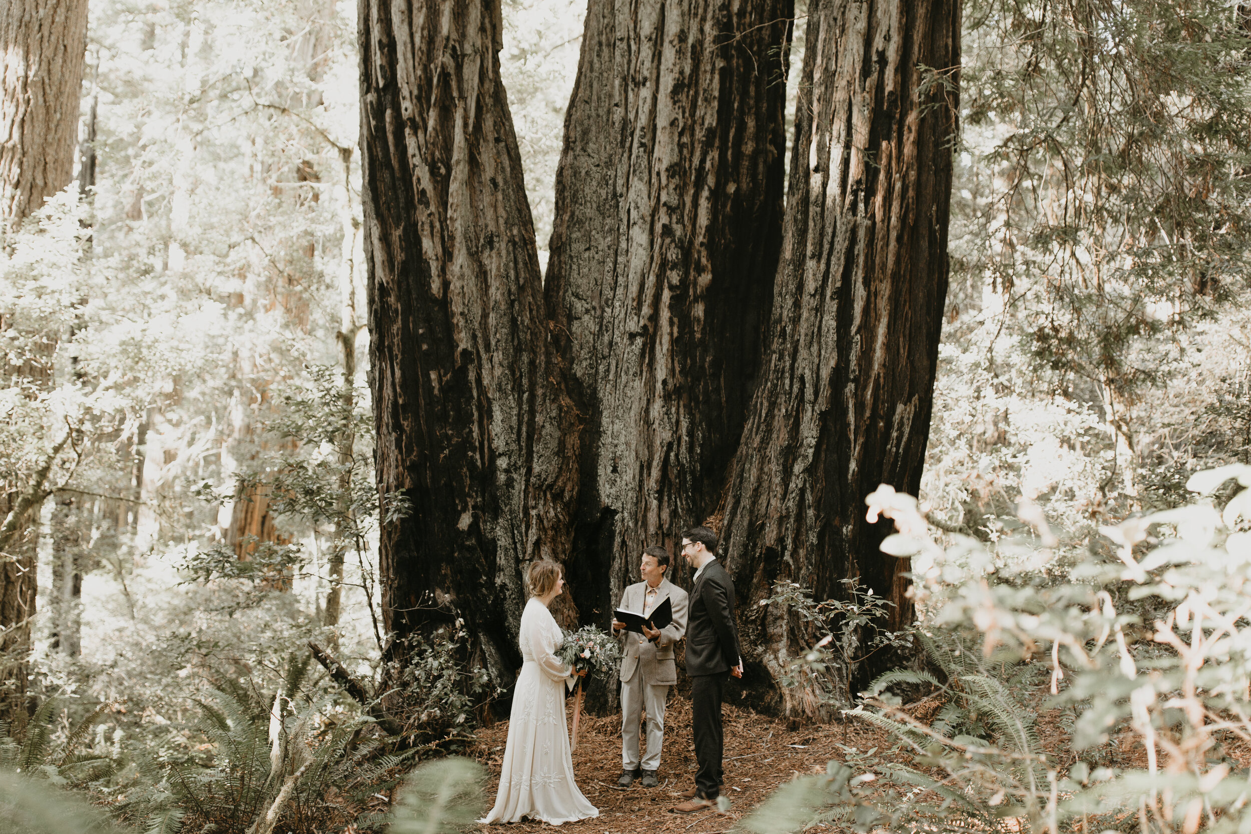 nicole-daacke-photography-redwood-forest-elopement-in-northern-california-patricks-point-coast-adventure-elopement-photography-redwoods-elopement-photographer-135.jpg
