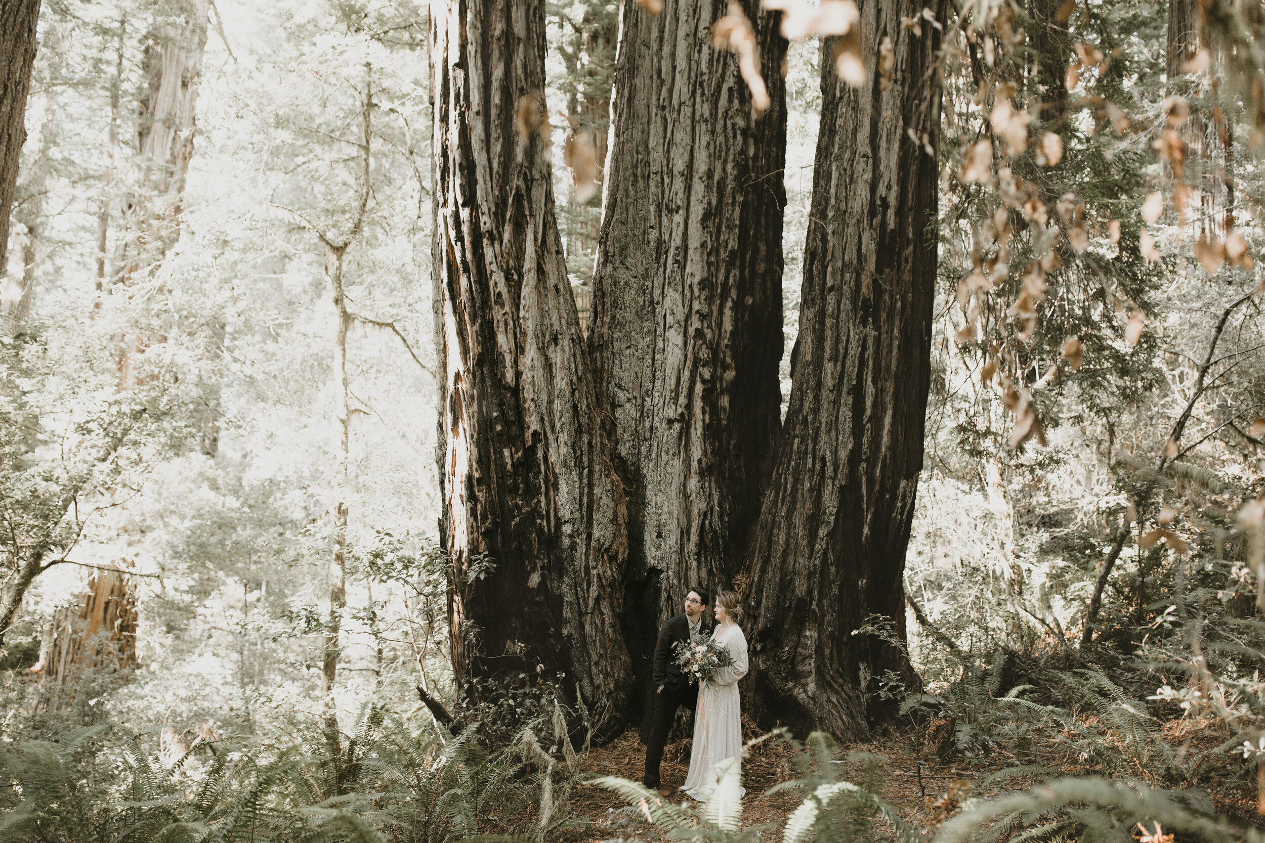 nicole-daacke-photography-redwood-forest-elopement-in-northern-california-patricks-point-coast-adventure-elopement-photography-redwoods-elopement-photographer-151.jpg