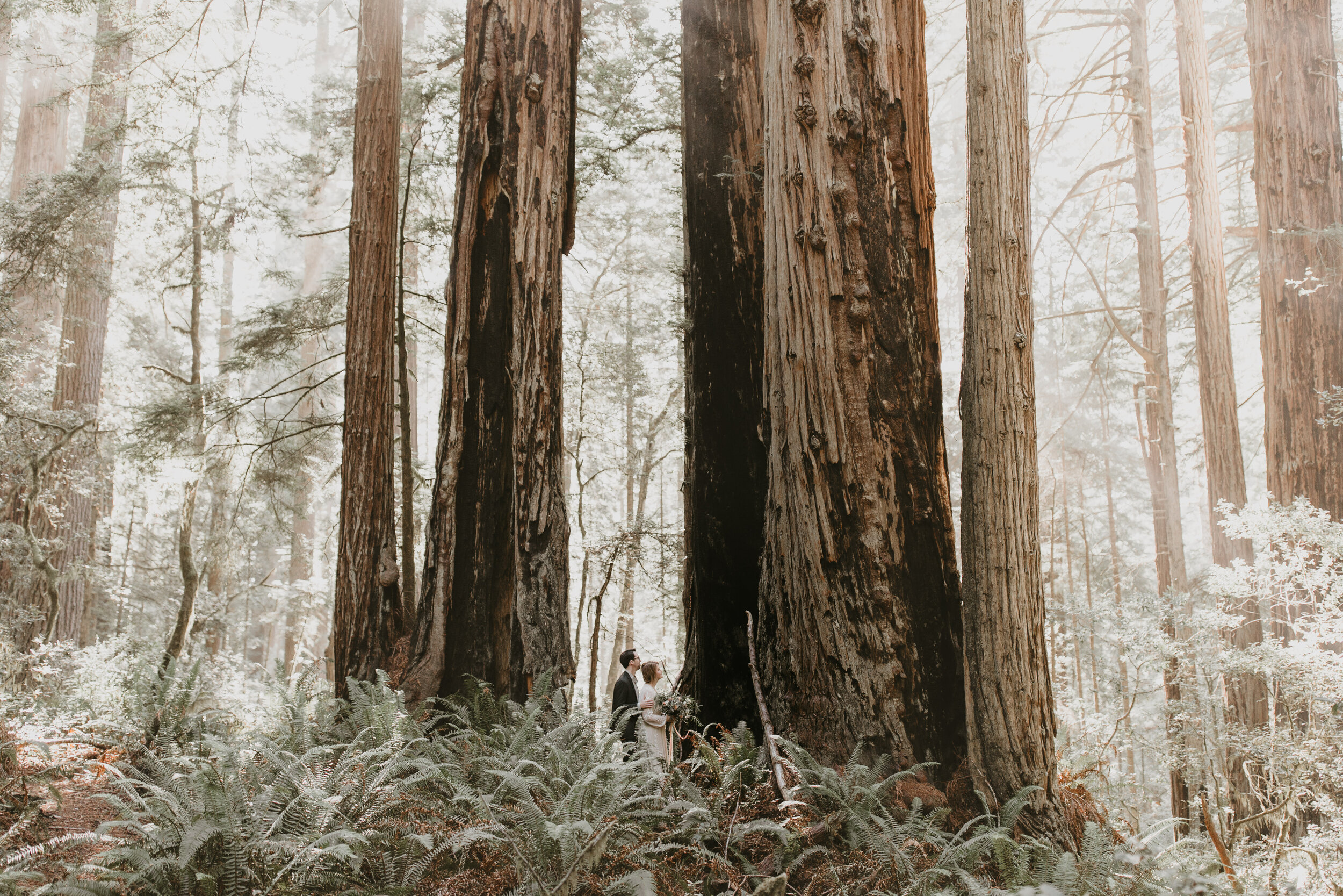 nicole-daacke-photography-redwood-forest-elopement-in-northern-california-patricks-point-coast-adventure-elopement-photography-redwoods-elopement-photographer-157.jpg