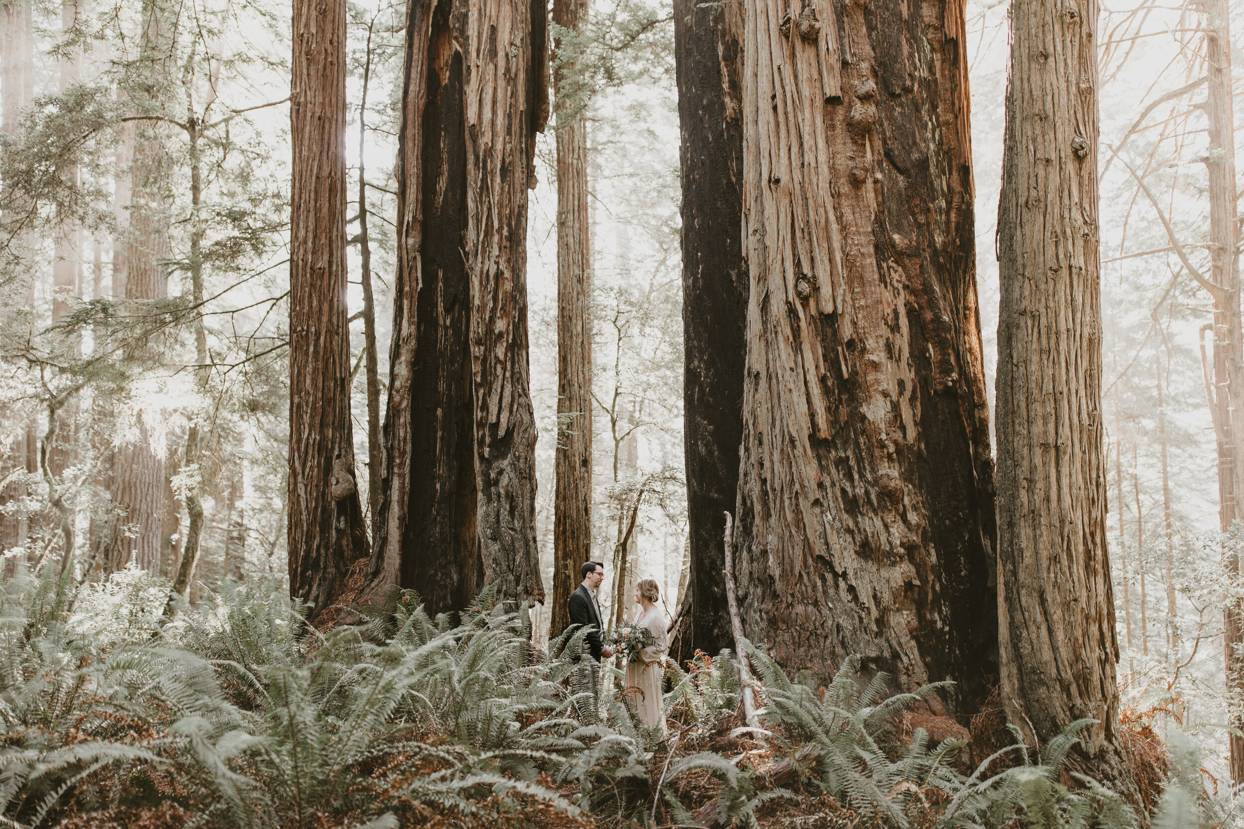 nicole-daacke-photography-redwood-forest-elopement-in-northern-california-patricks-point-coast-adventure-elopement-photography-redwoods-elopement-photographer-156.jpg