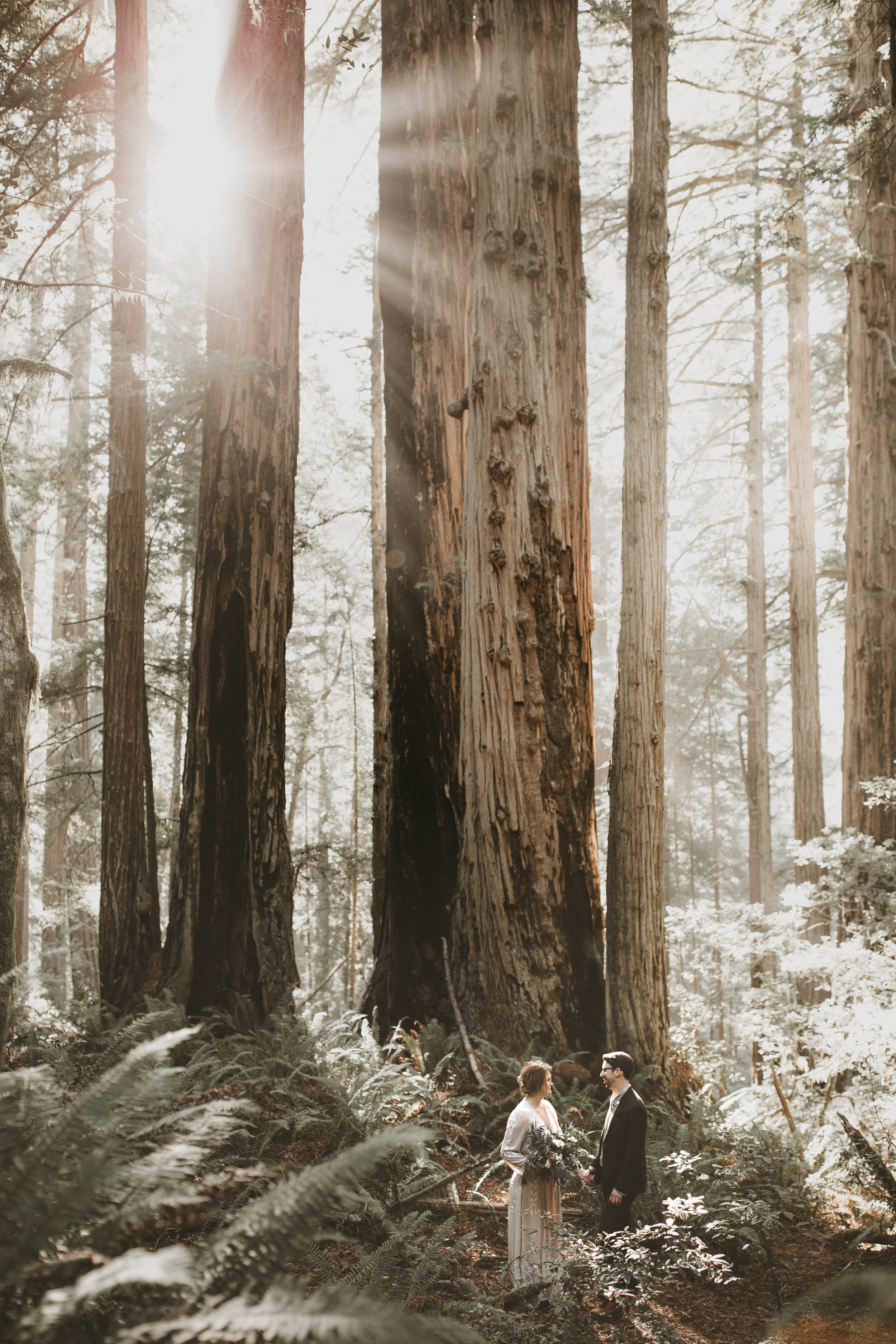 nicole-daacke-photography-redwood-forest-elopement-in-northern-california-patricks-point-coast-adventure-elopement-photography-redwoods-elopement-photographer-165.jpg