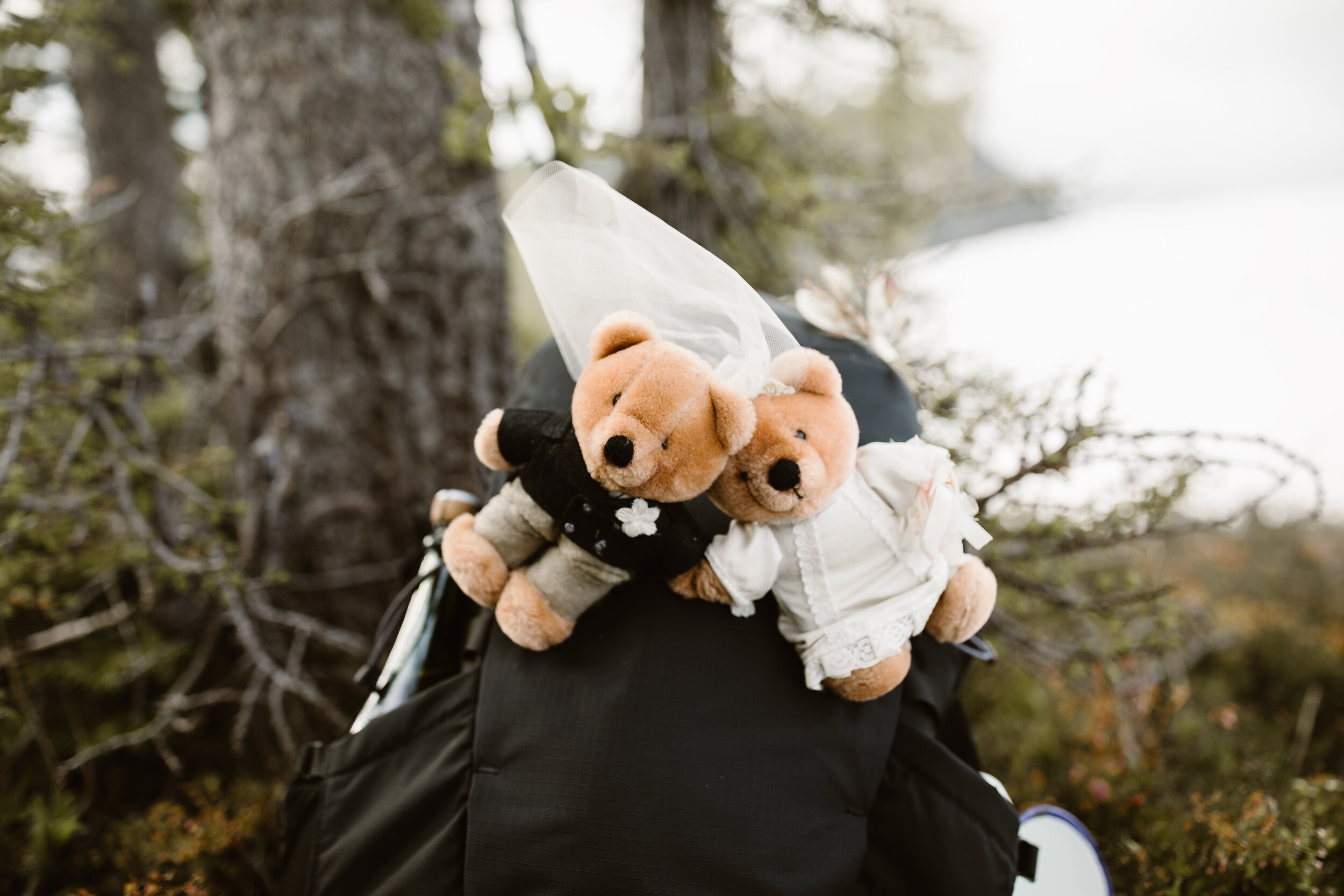 Nicole-Daacke-Photography-wedding-bears-tradition.jpg