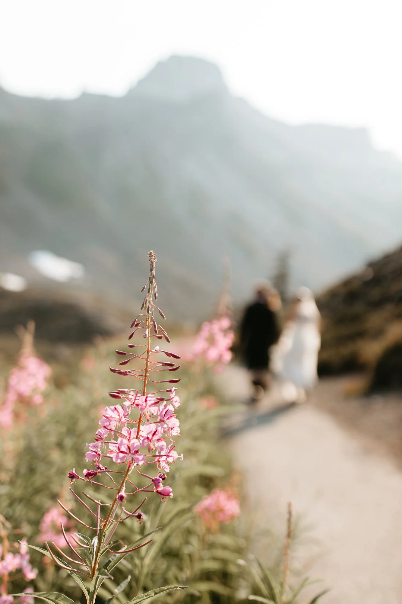 ultimate-guide-to-eloping-in-mt-baker-washington-1044.jpg