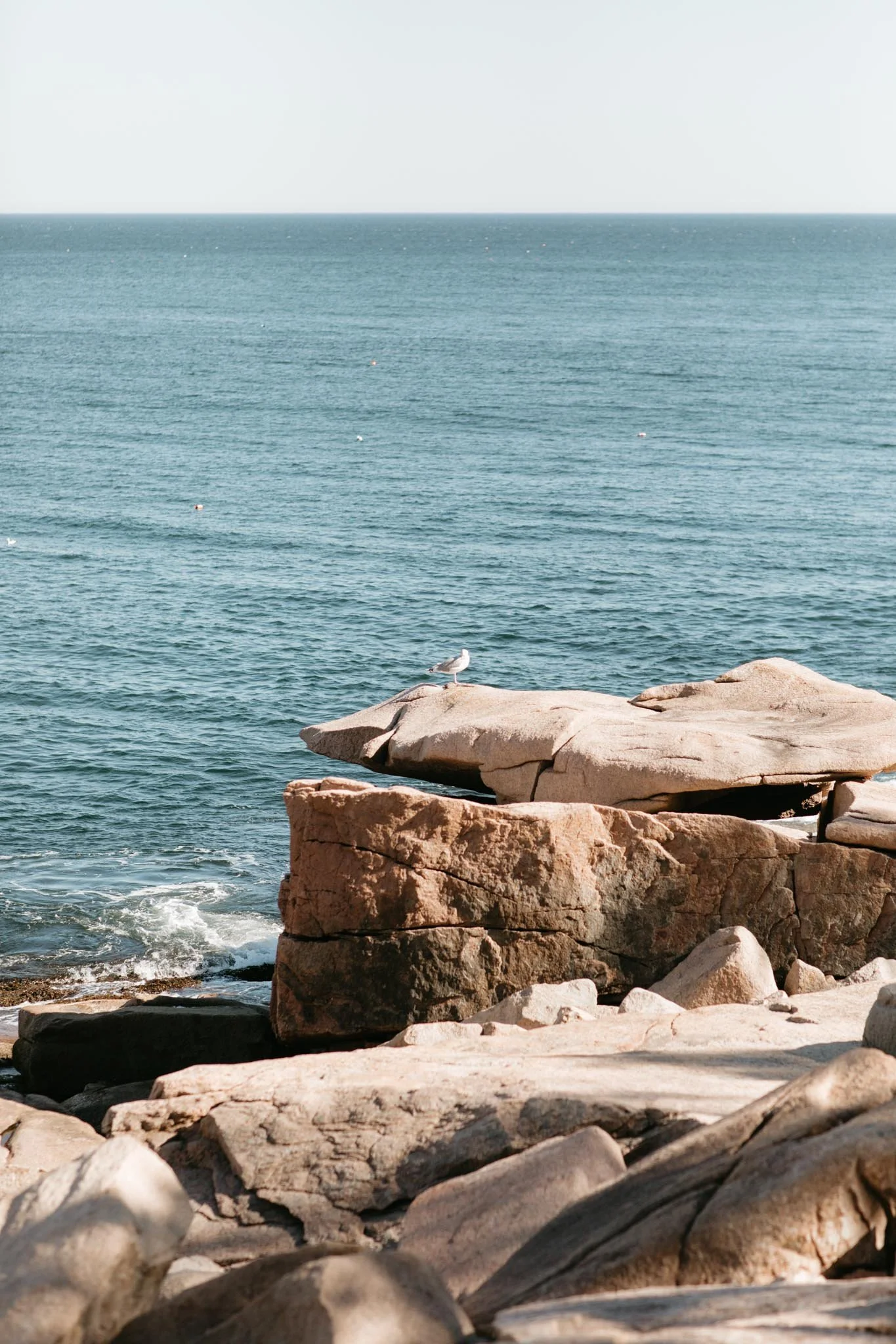 wedding-at-little-hunters-beach-in-acadia-national-park-nicole-daacke-photography-120.jpg