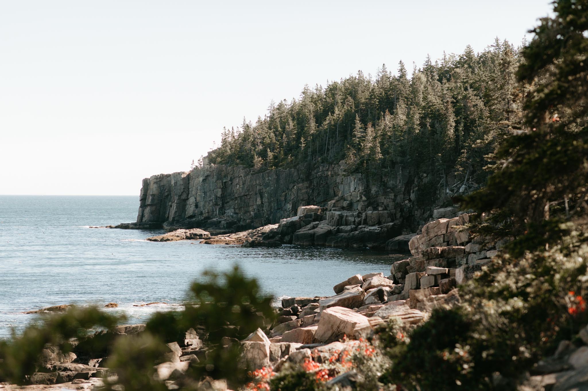 wedding-at-little-hunters-beach-in-acadia-national-park-nicole-daacke-photography-121.jpg