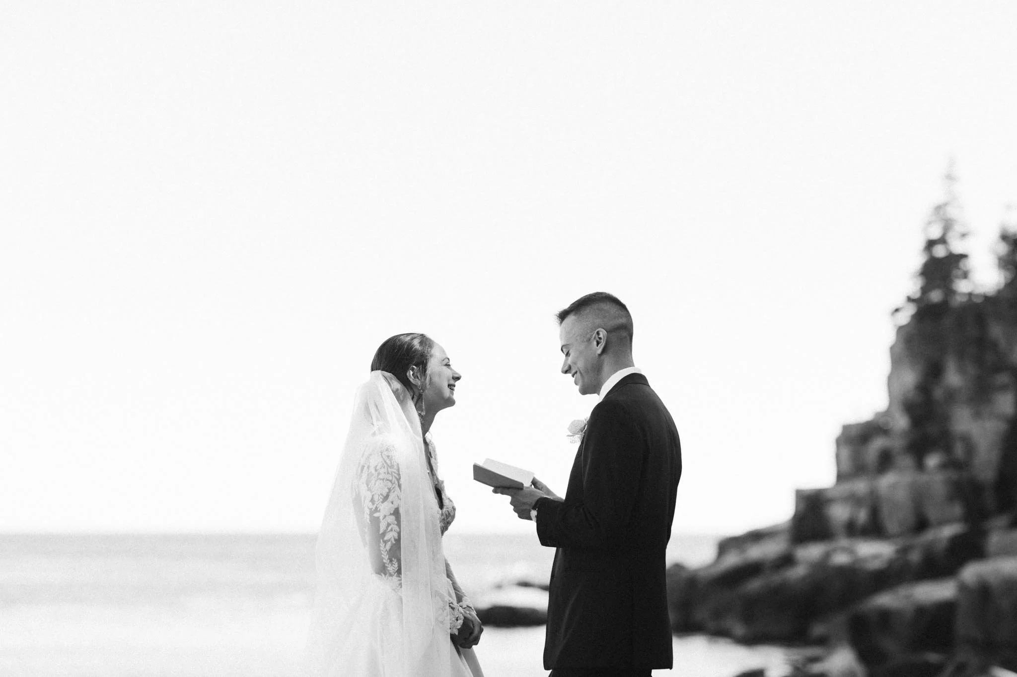 wedding-at-little-hunters-beach-in-acadia-national-park-nicole-daacke-photography-129.jpg