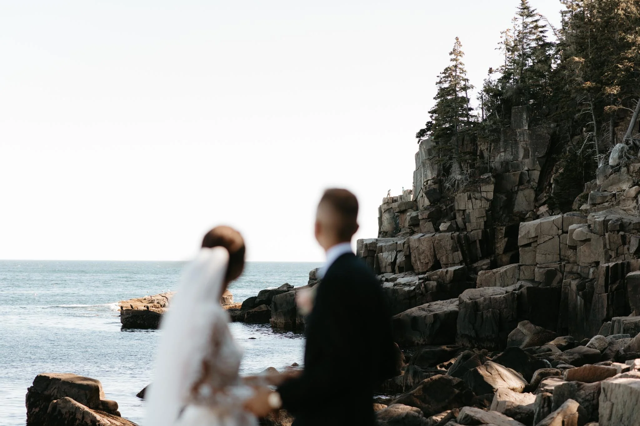 wedding-at-little-hunters-beach-in-acadia-national-park-nicole-daacke-photography-130.jpg