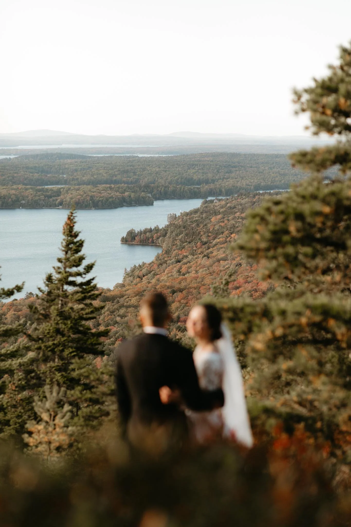 wedding-at-little-hunters-beach-in-acadia-national-park-nicole-daacke-photography-161.jpg