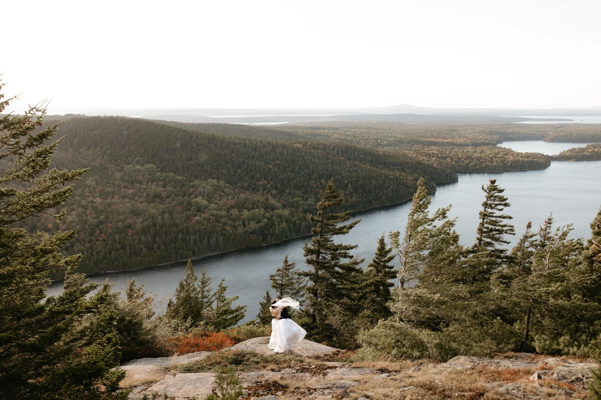 wedding-at-little-hunters-beach-in-acadia-national-park-nicole-daacke-photography-163.jpg