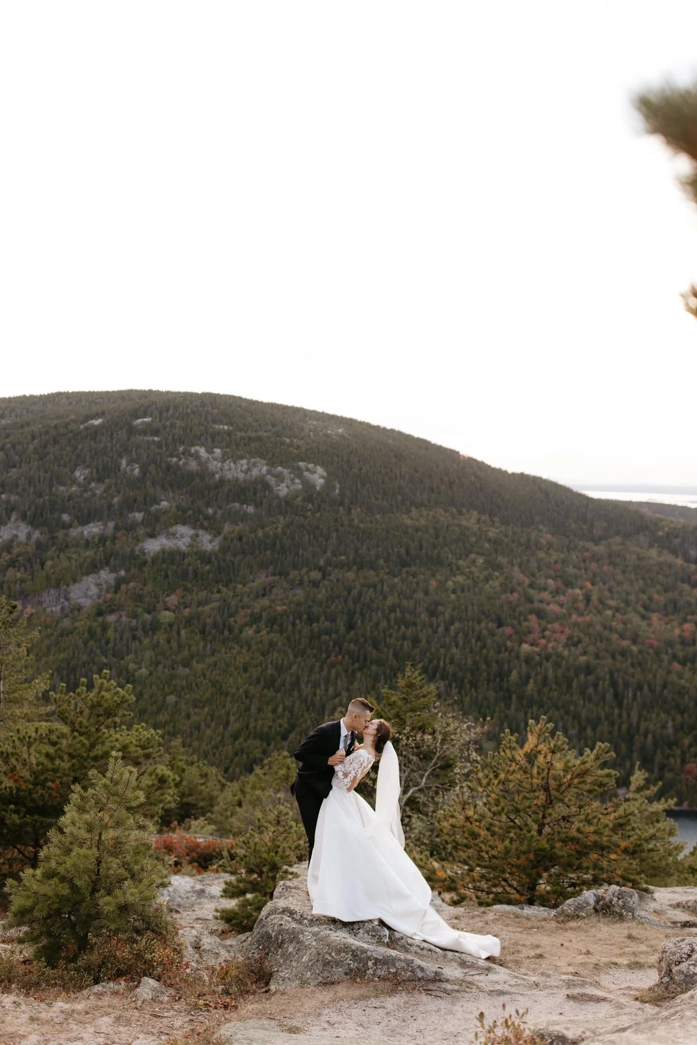 wedding-at-little-hunters-beach-in-acadia-national-park-nicole-daacke-photography-181.jpg