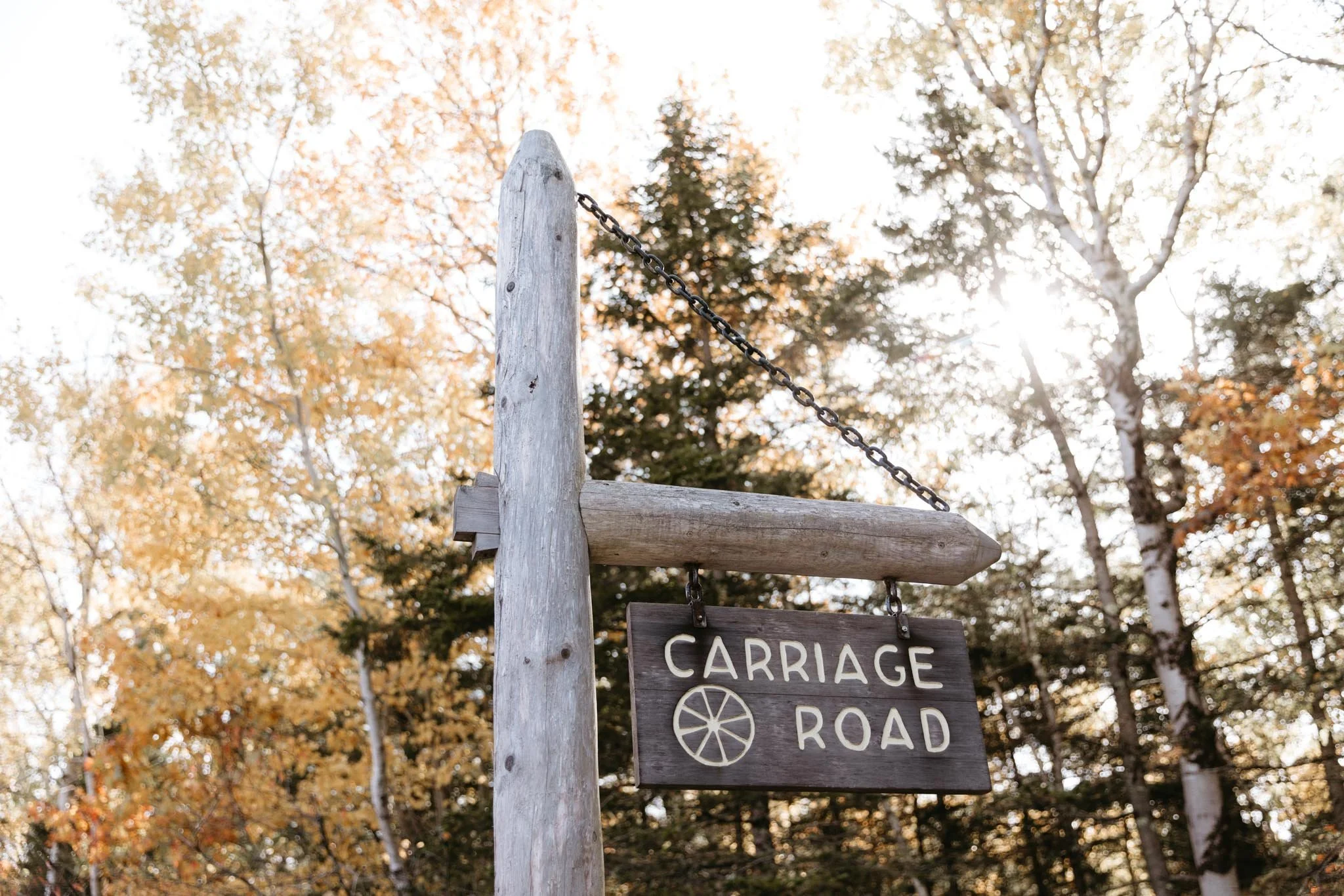 adventure-elopement-in-acadia-national-park-nicole-daacke-photography-1221.jpg