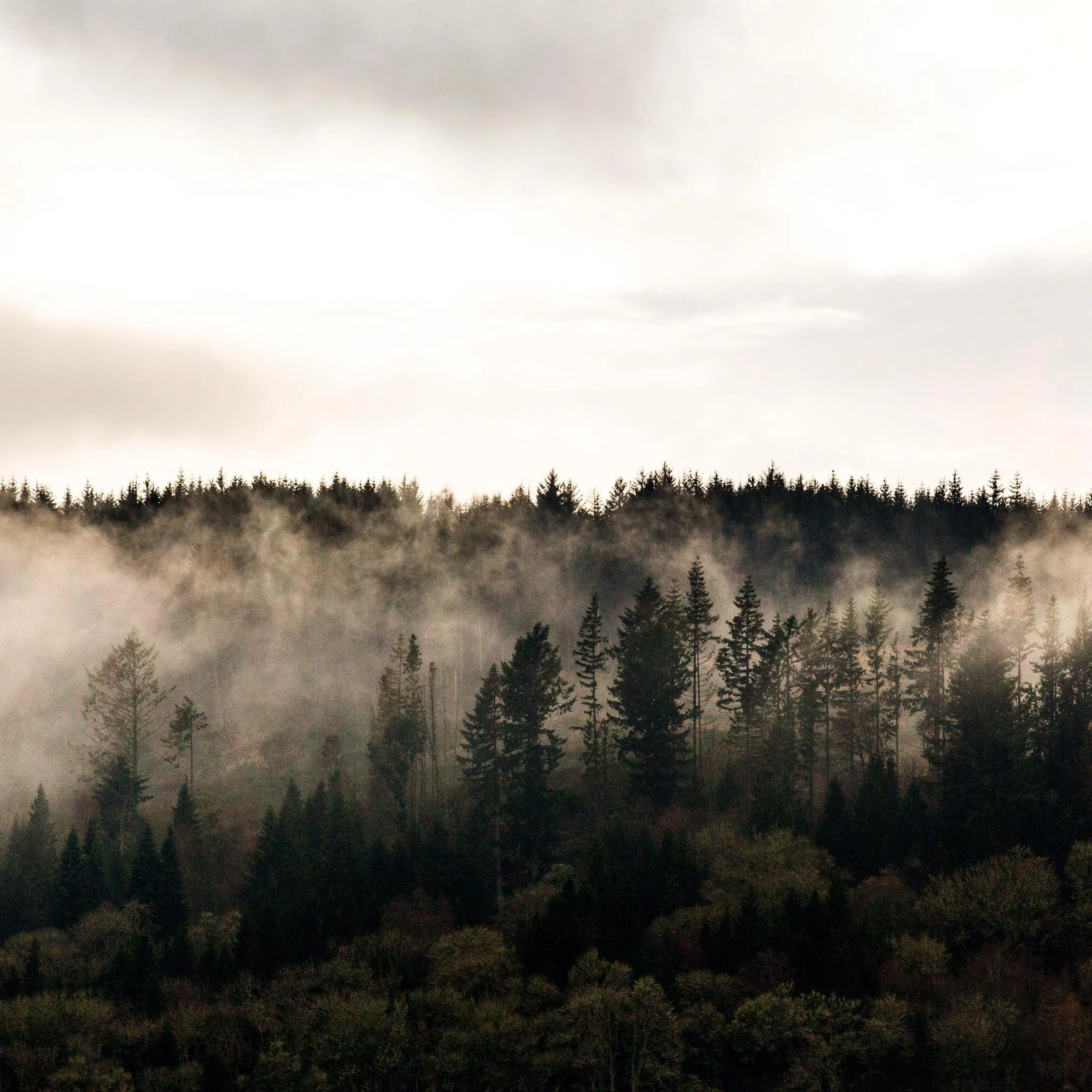 best-scotland-elopement-locations-nicole-daacke-photography-2.jpg