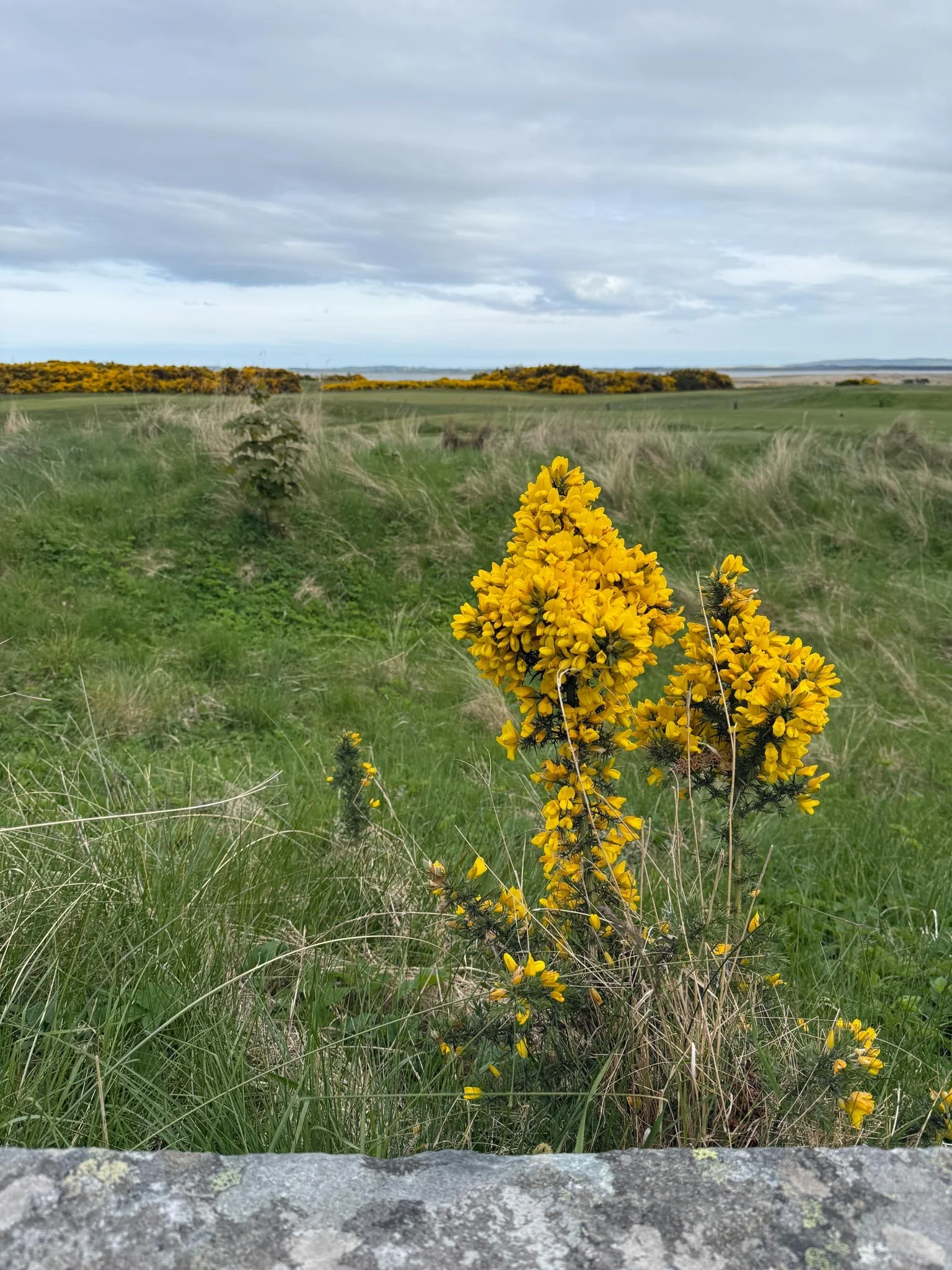 best-scotland-elopement-locations-nicole-daacke-photography-7483.jpg