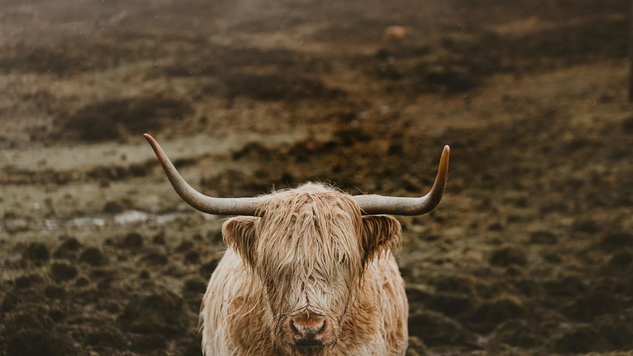 Best Places to Elope in Scotland