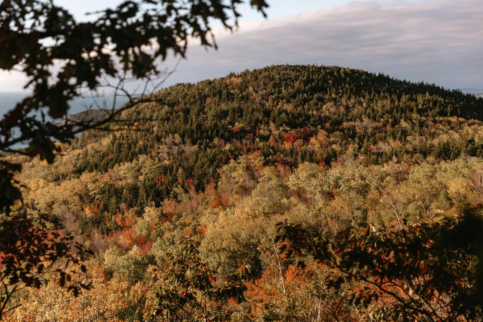 acadia-national-park-small-wedding-in-october-122.jpg