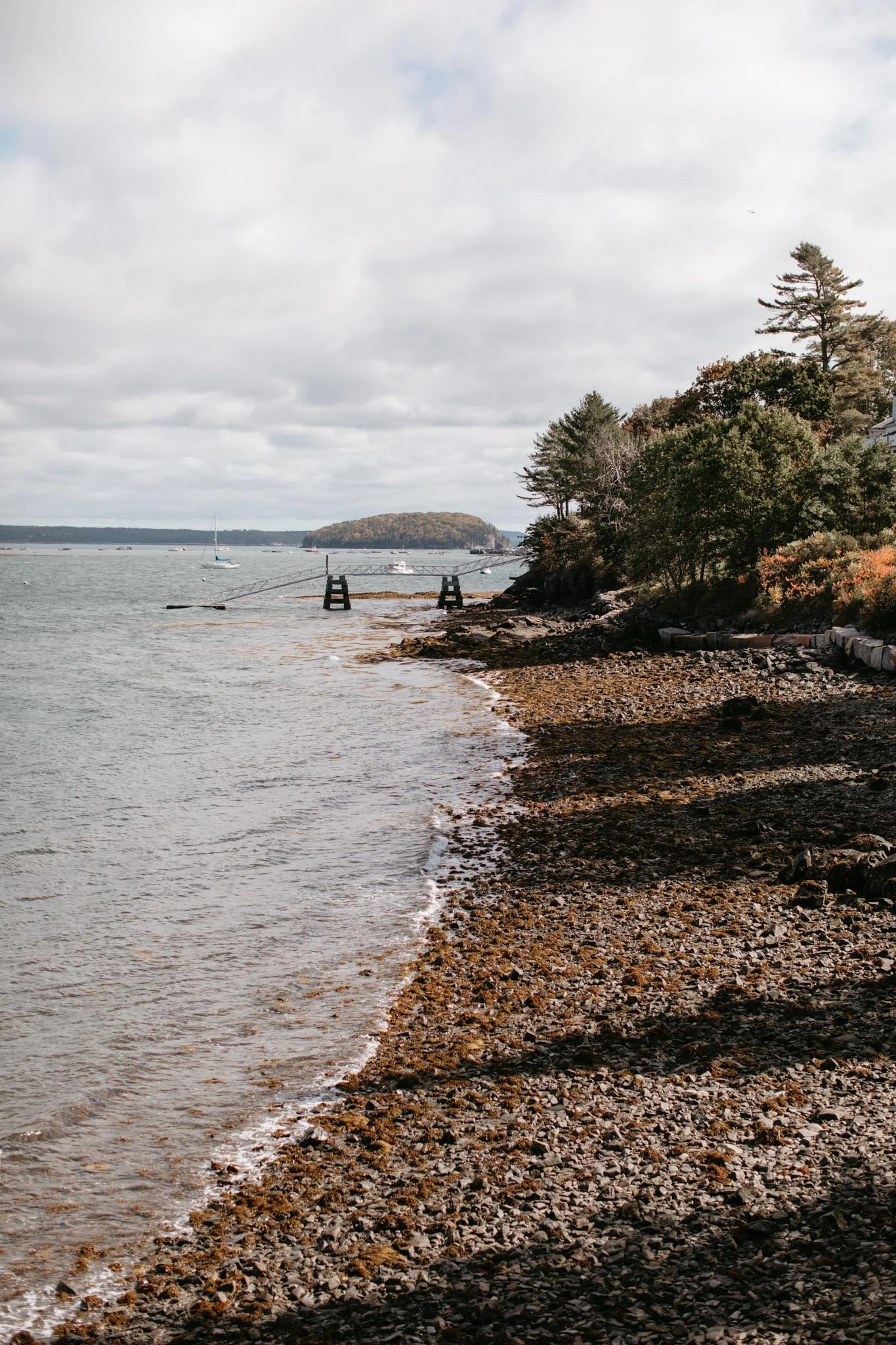 acadia-national-park-small-wedding-in-october-169.jpg