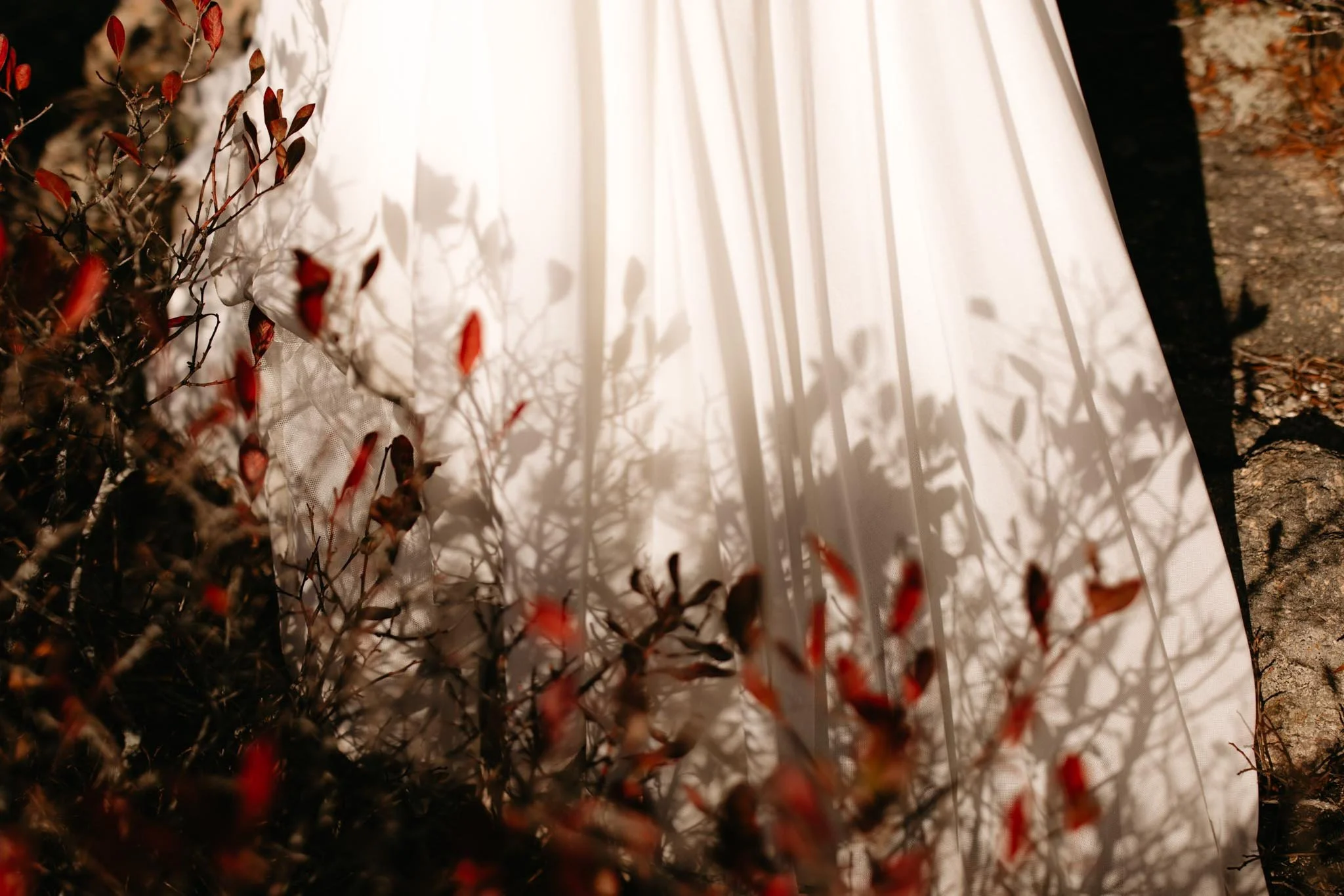 acadia-national-park-small-wedding-in-october-197.jpg