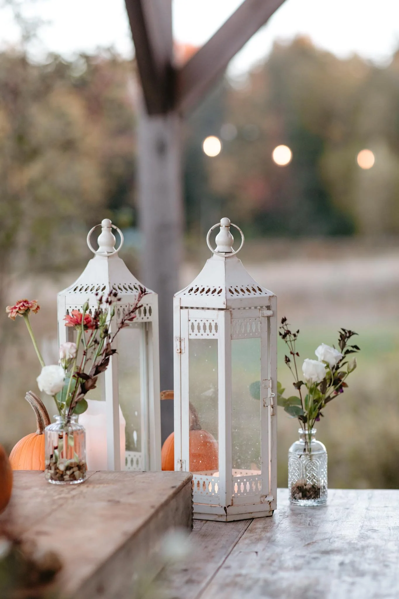 acadia-national-park-small-wedding-in-october-221.jpg