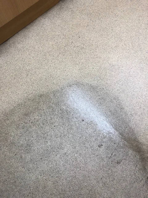 Hard Floor Cleaning Surrey Before and After.jpg