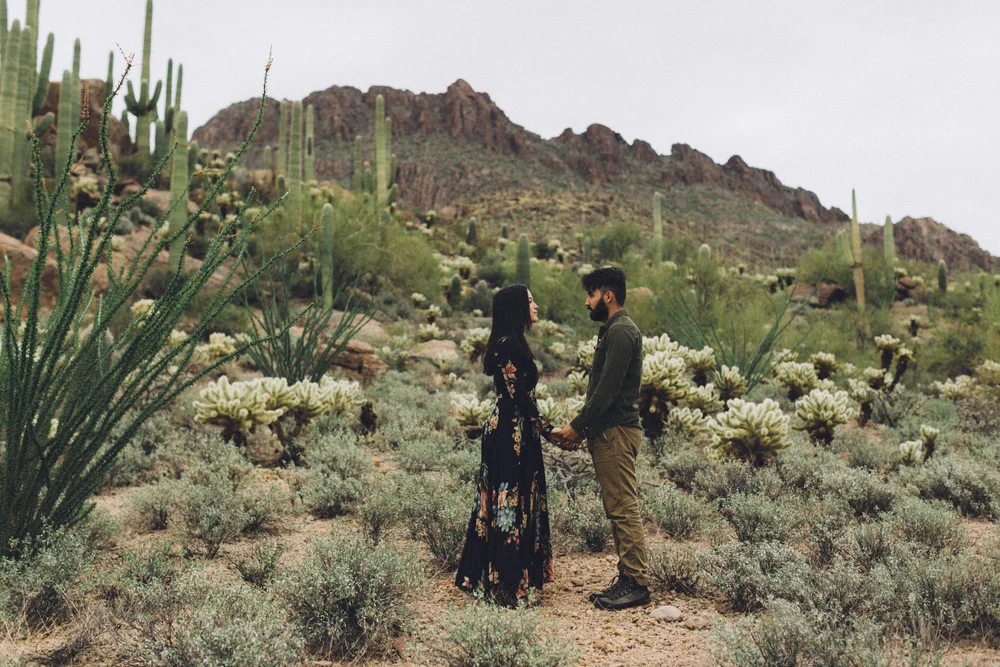 Saguaro National Park // Laura Goldenberger