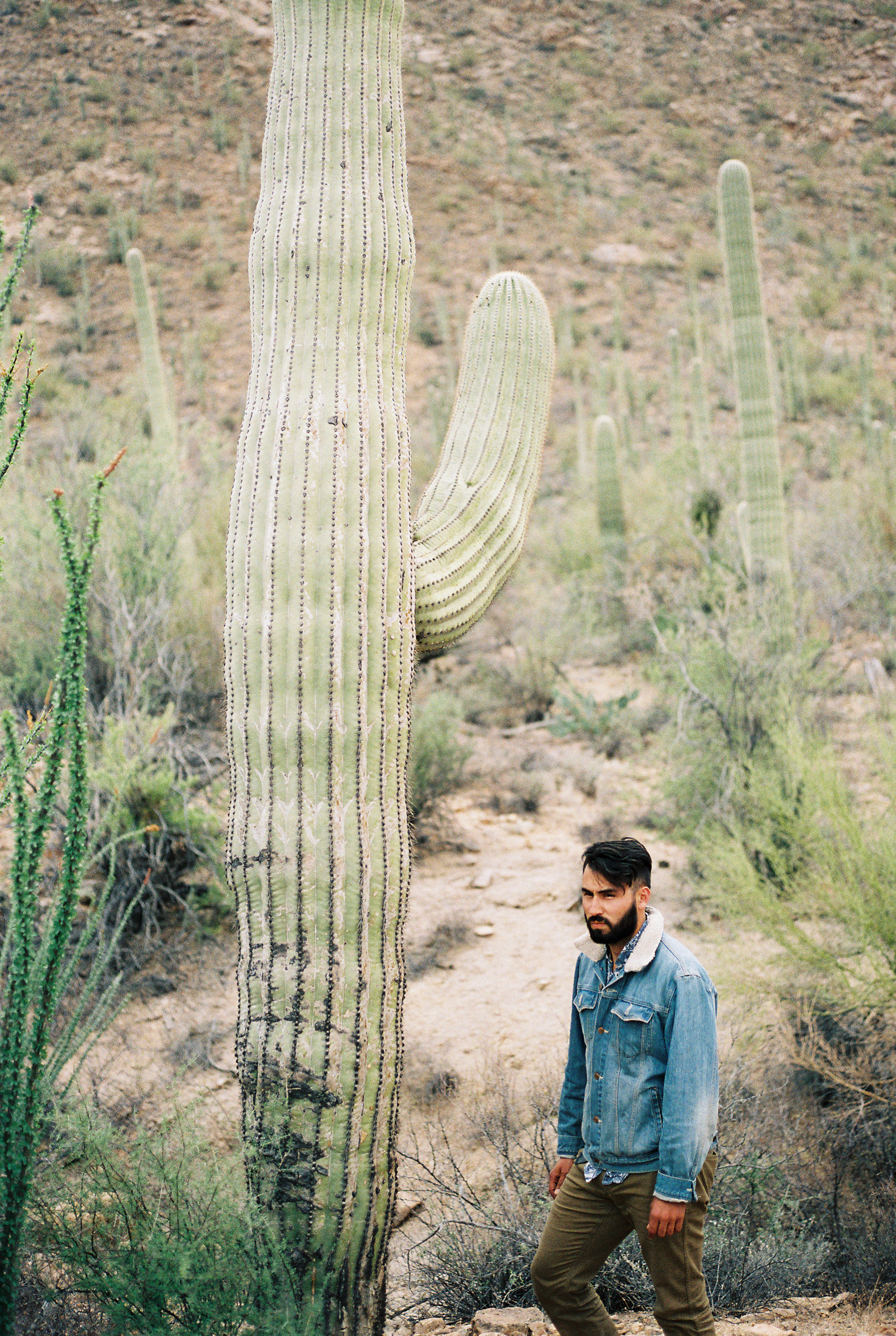 Saguaro National Park // Laura Goldenberger