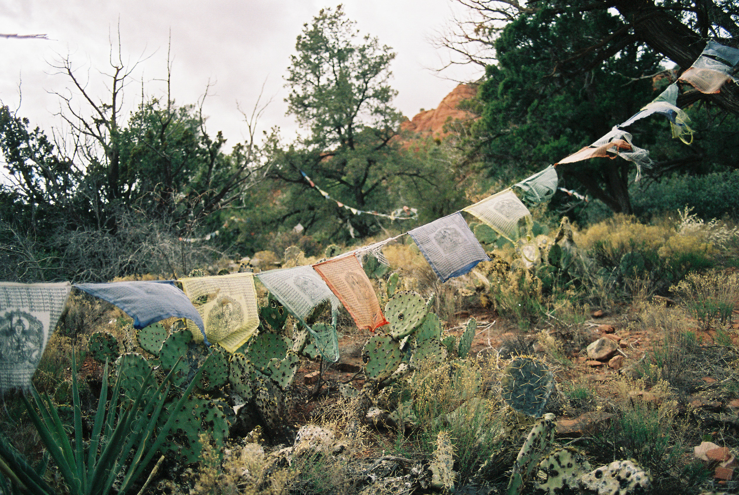 Sedona // Laura Goldenberger