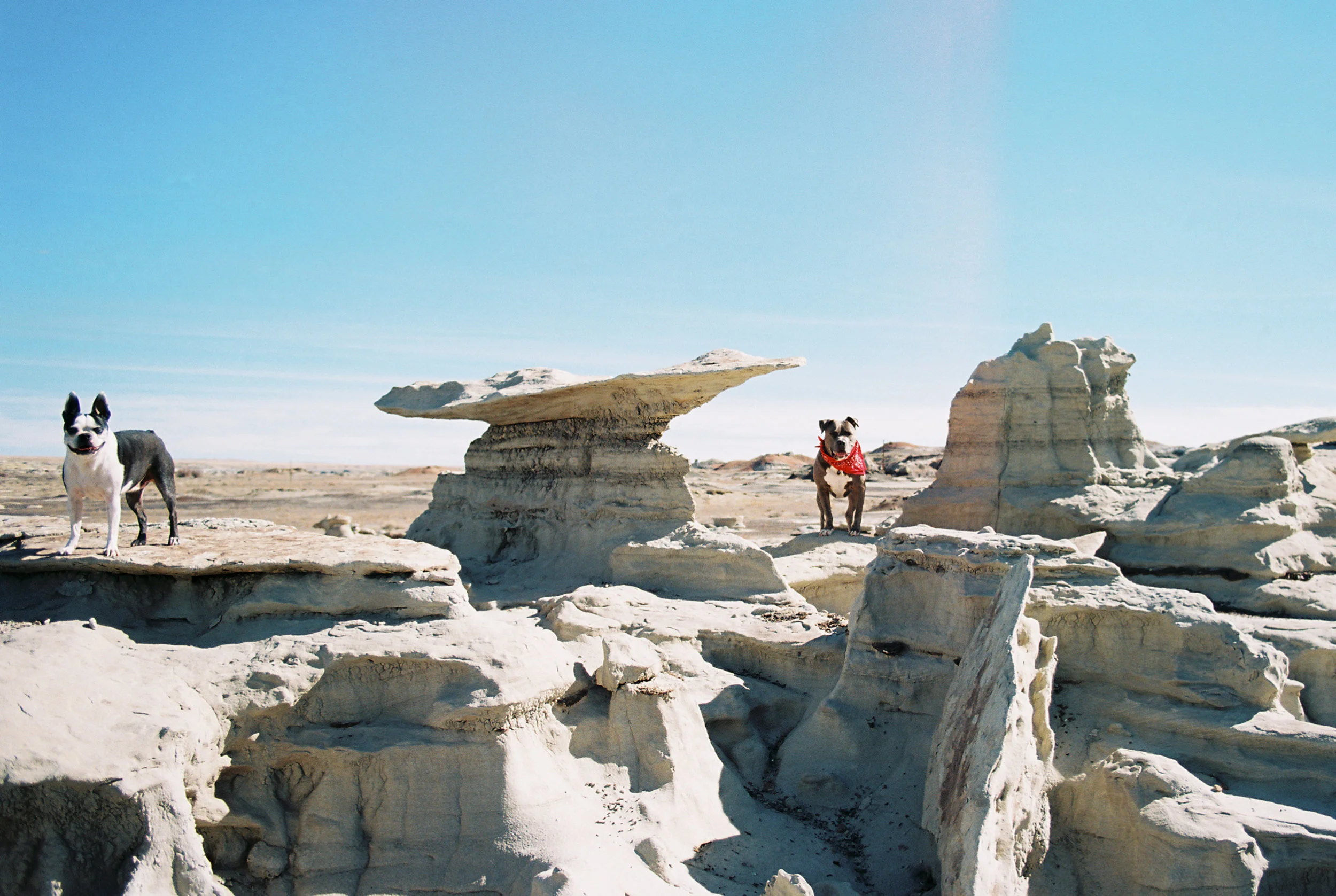Arizona and New Mexico Road Trip // Laura Goldenberger