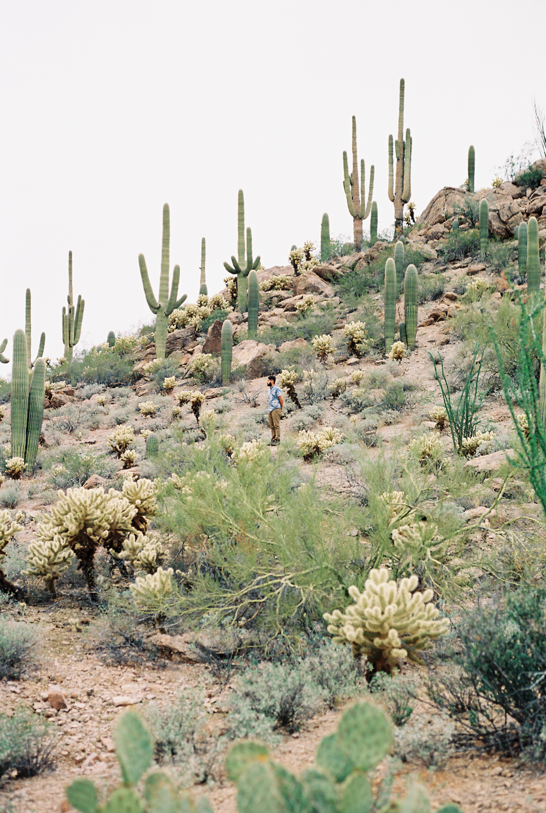 Arizona and New Mexico Road Trip // Laura Goldenberger
