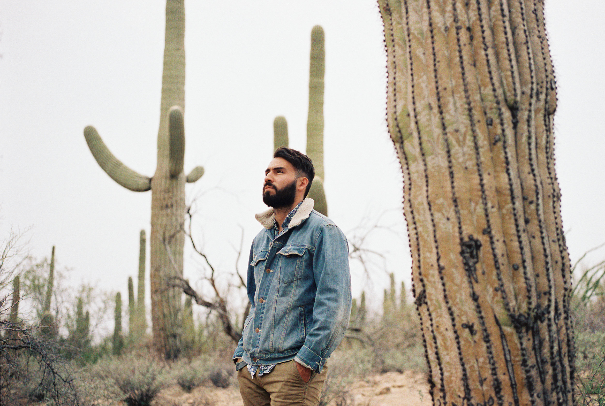 Saguaro National Park // Laura Goldenberger